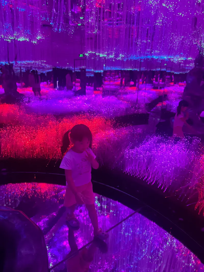 X Space Immersive — Museum in Hanoi