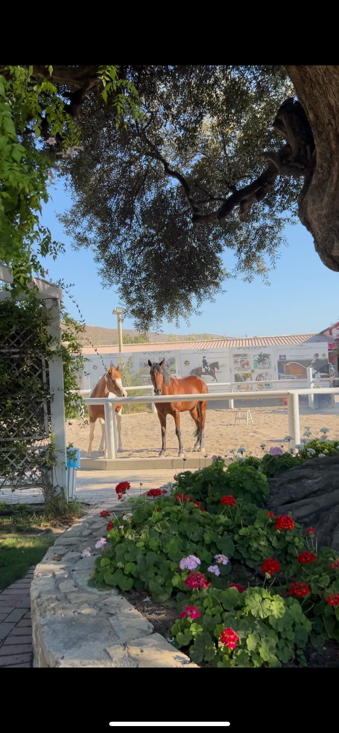 Interior at Amnisiades Park Heraklion — travel photo