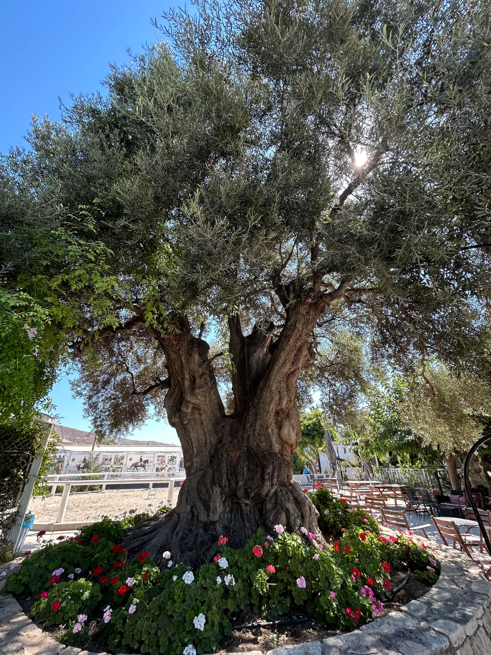 Details at Amnisiades Park Heraklion — travel photo
