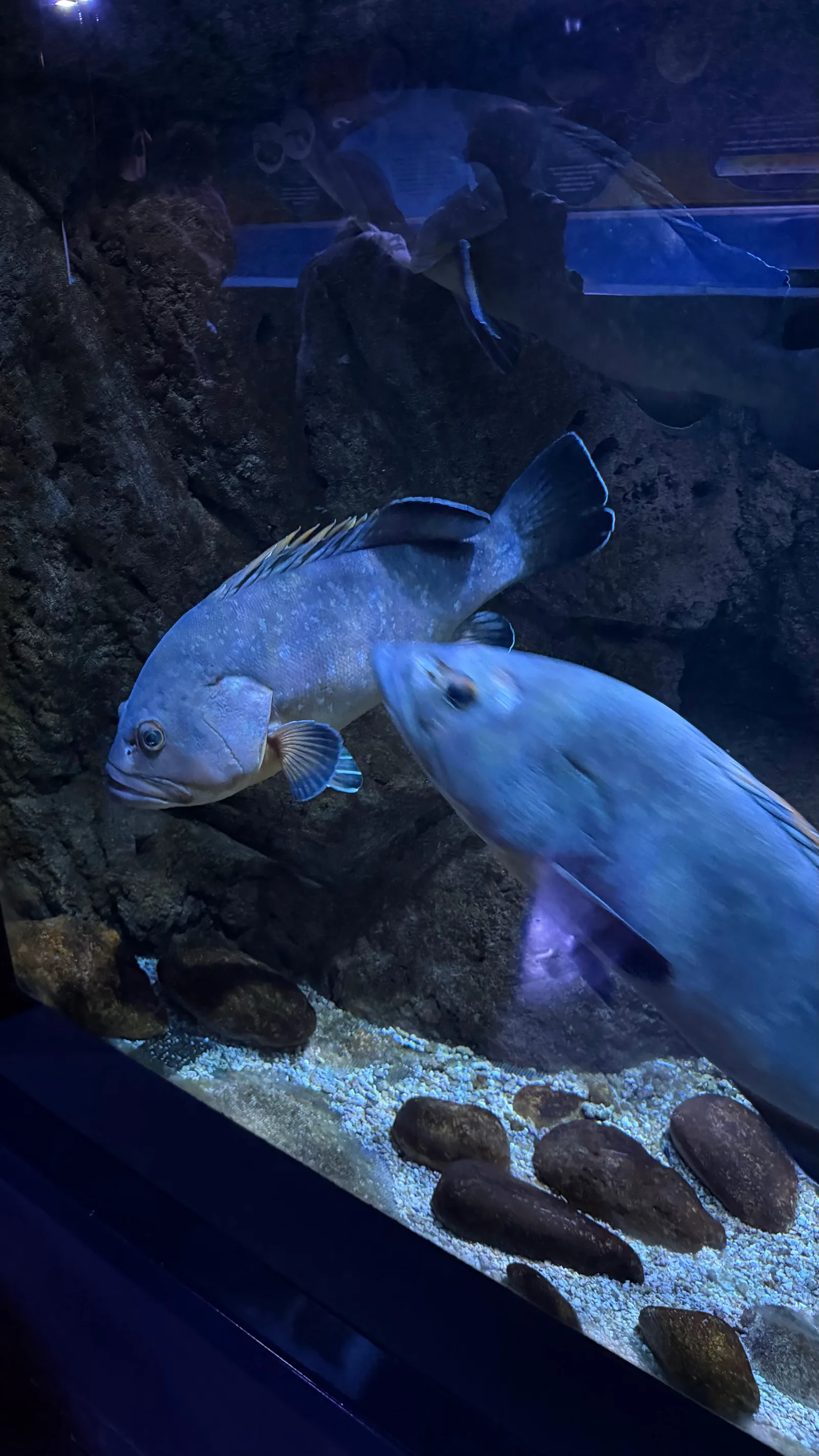 Atmosphere at CRETAquarium Thalassokosmos Heraklion — travel photo