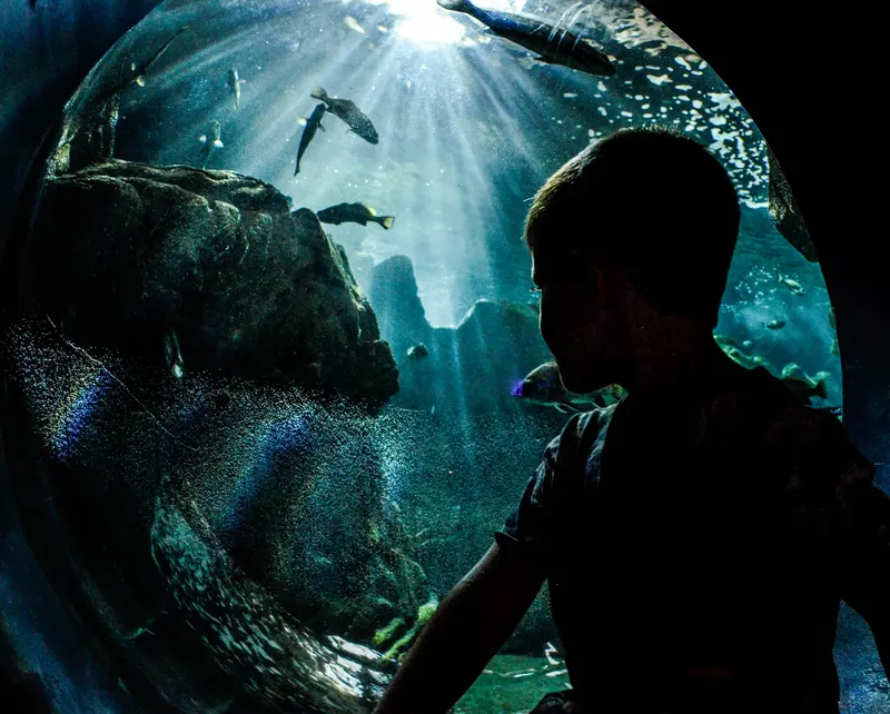 CRETAquarium Thalassokosmos in Heraklion