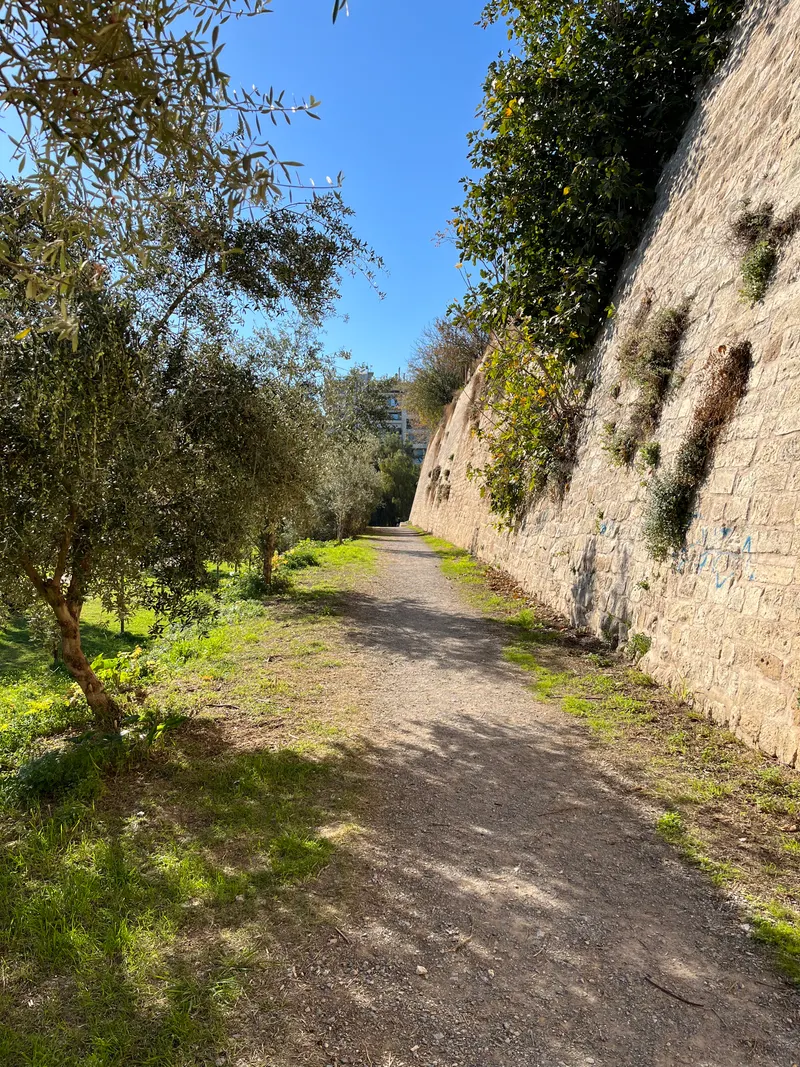 Efkalyptos Park