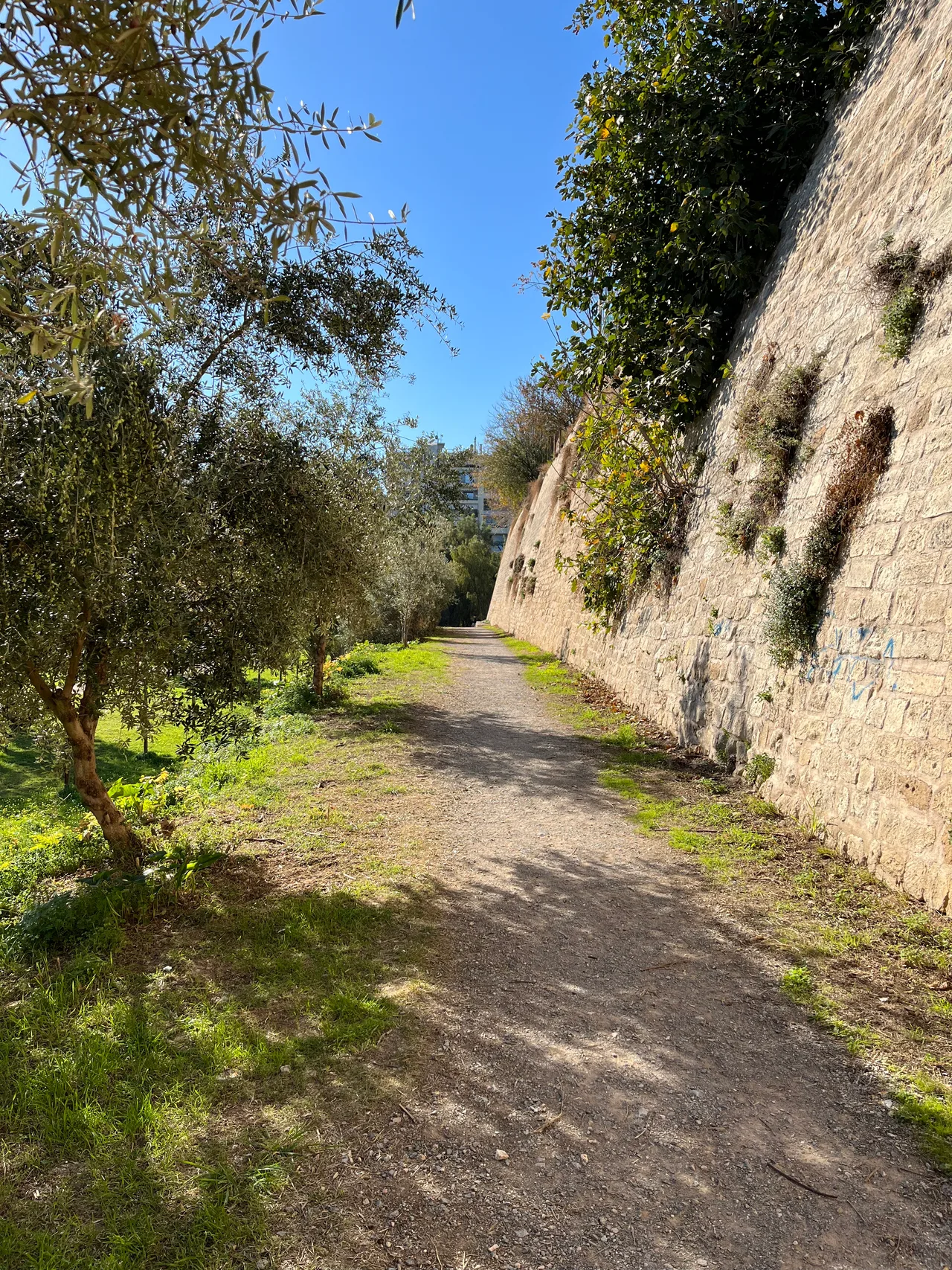 Efkalyptos Park