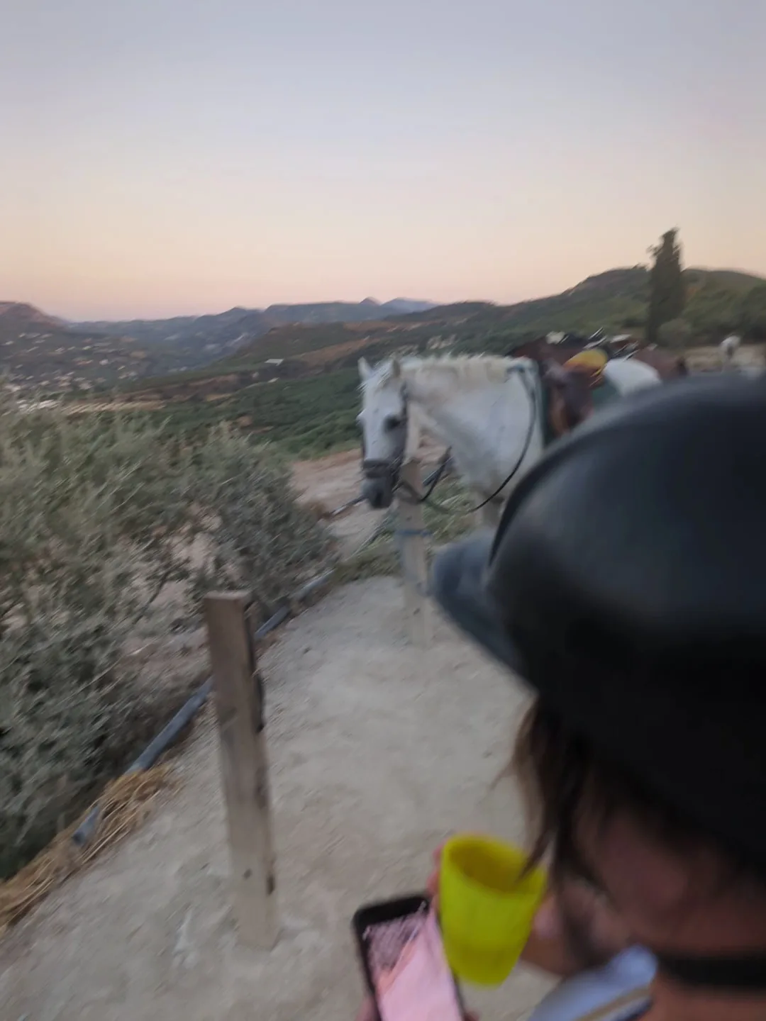 Main view at Finikia Horseriding Heraklion — travel photo