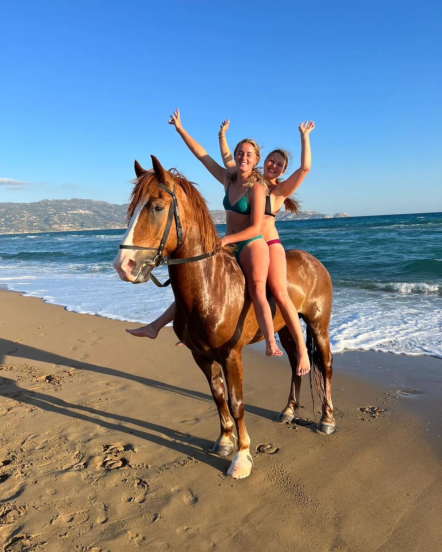 Interior at Finikia Horseriding Heraklion — travel photo