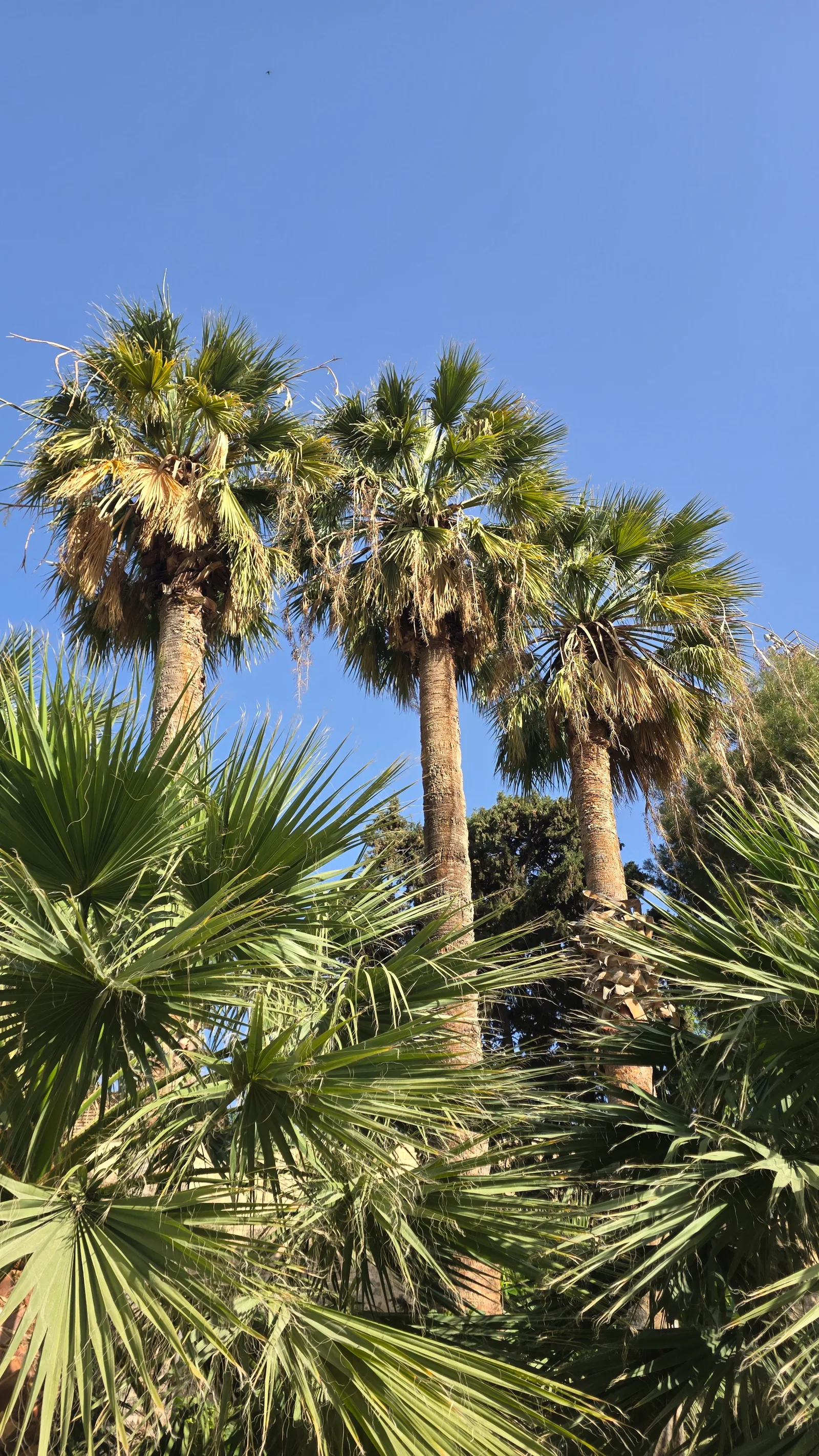 Interior at Kipos Playground (Former Zoo) Heraklion — travel photo