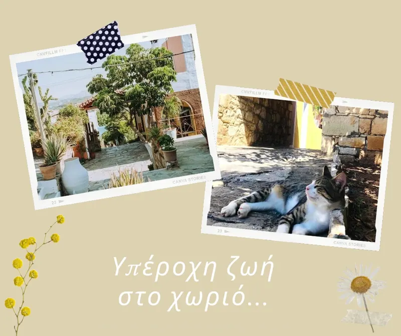 Museum of Rural History and Folk Art Arolithos — Museum in Heraklion