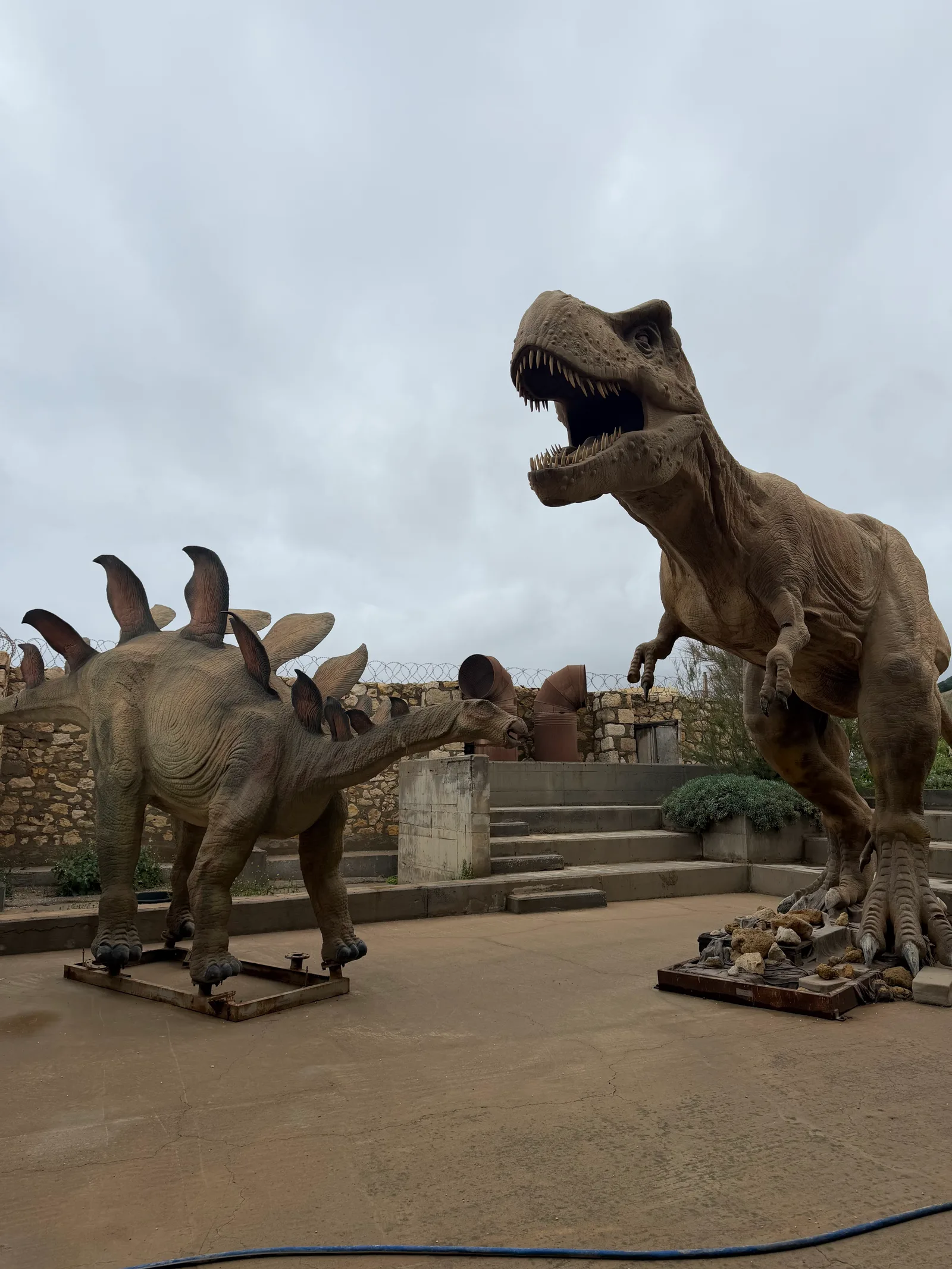 Atmosphere at Natural History Museum of Crete Heraklion — travel photo