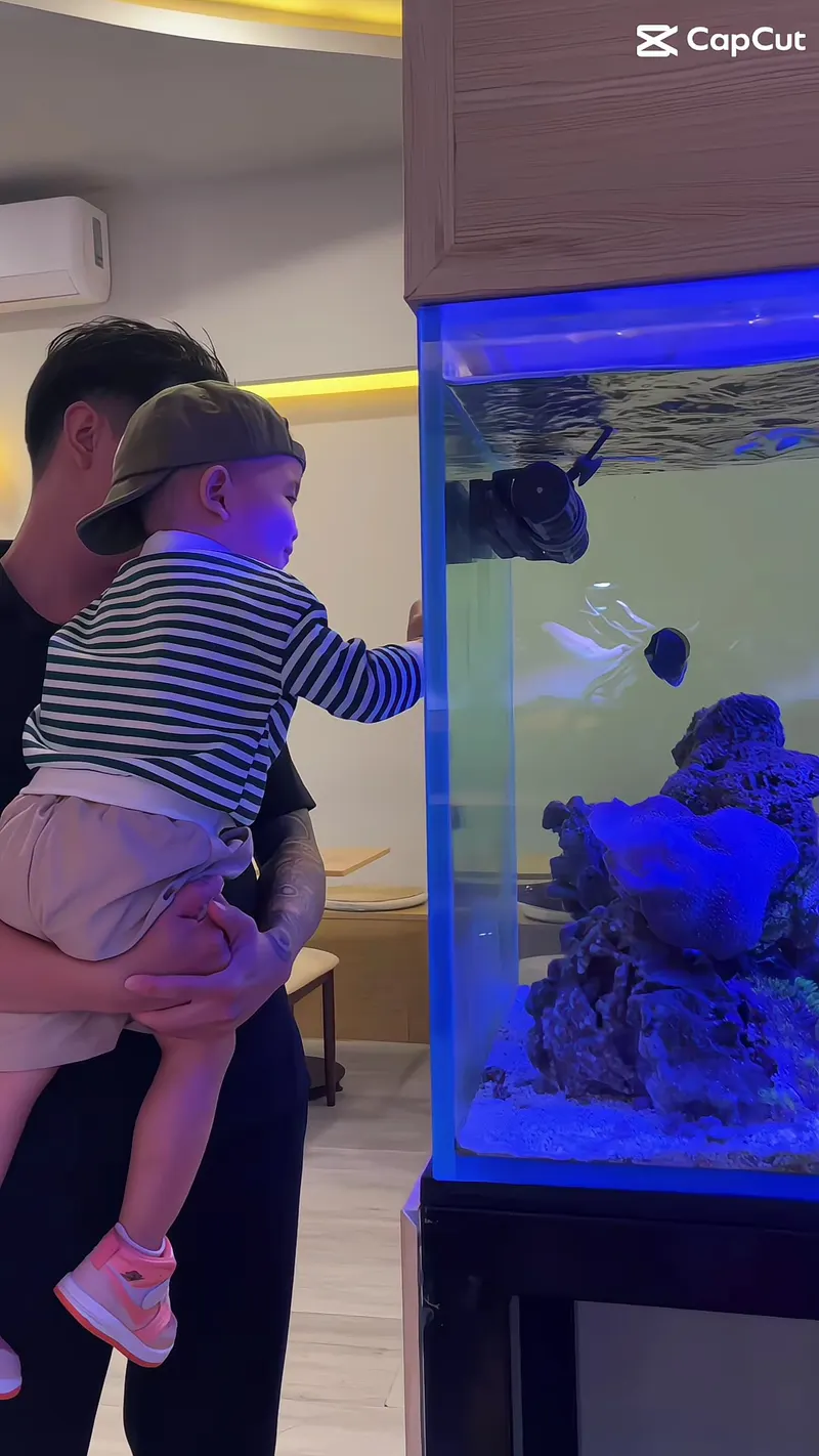 Aura Aquatic - Cá Cảnh & Thuỷ Sinh Aura