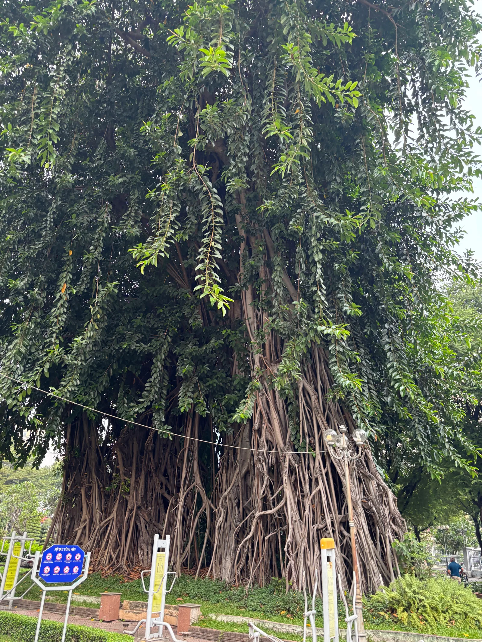 Main view at Bach Tung Diep Park Ho Chi Minh City — travel photo