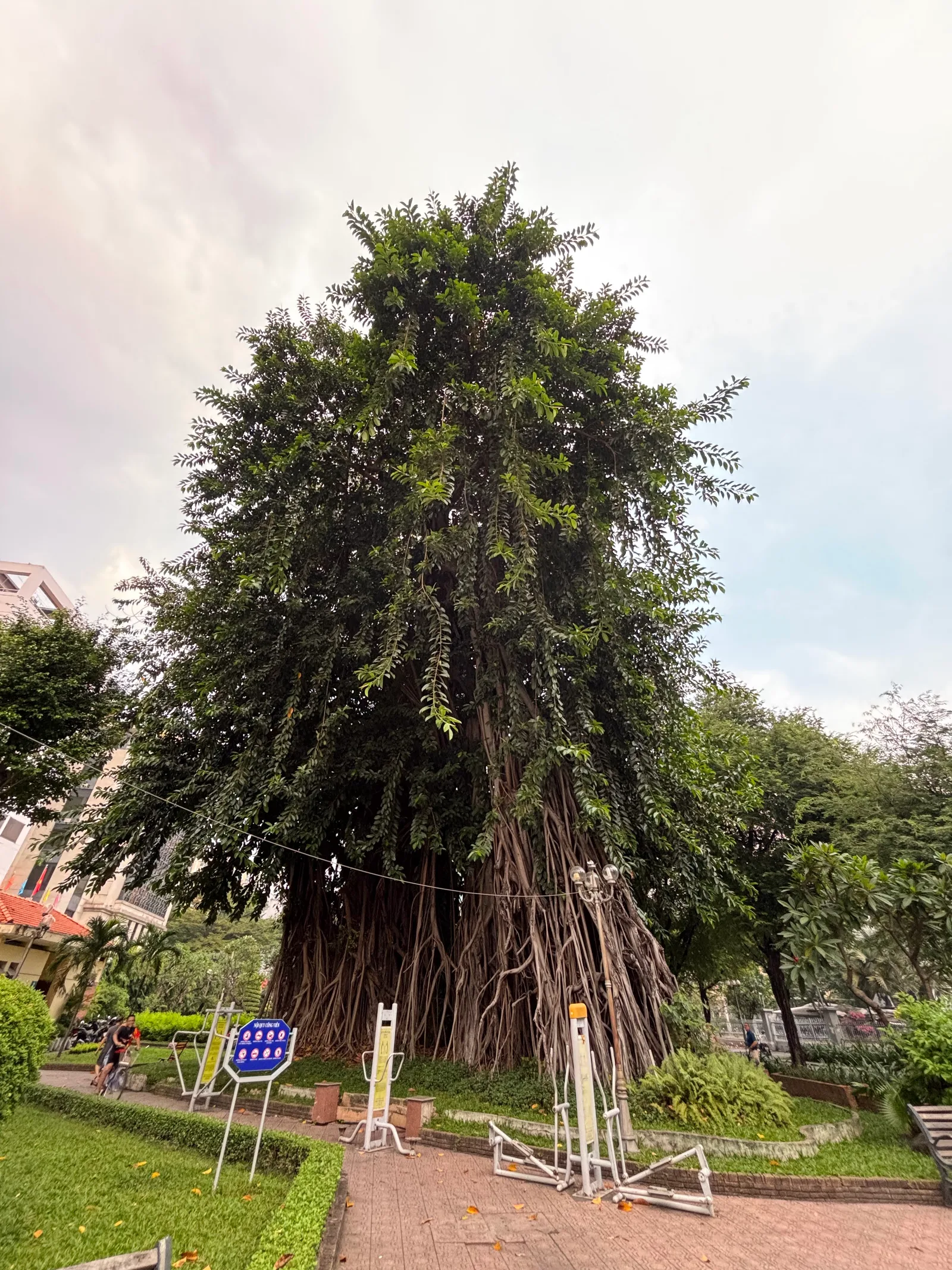Interior at Bach Tung Diep Park Ho Chi Minh City — travel photo