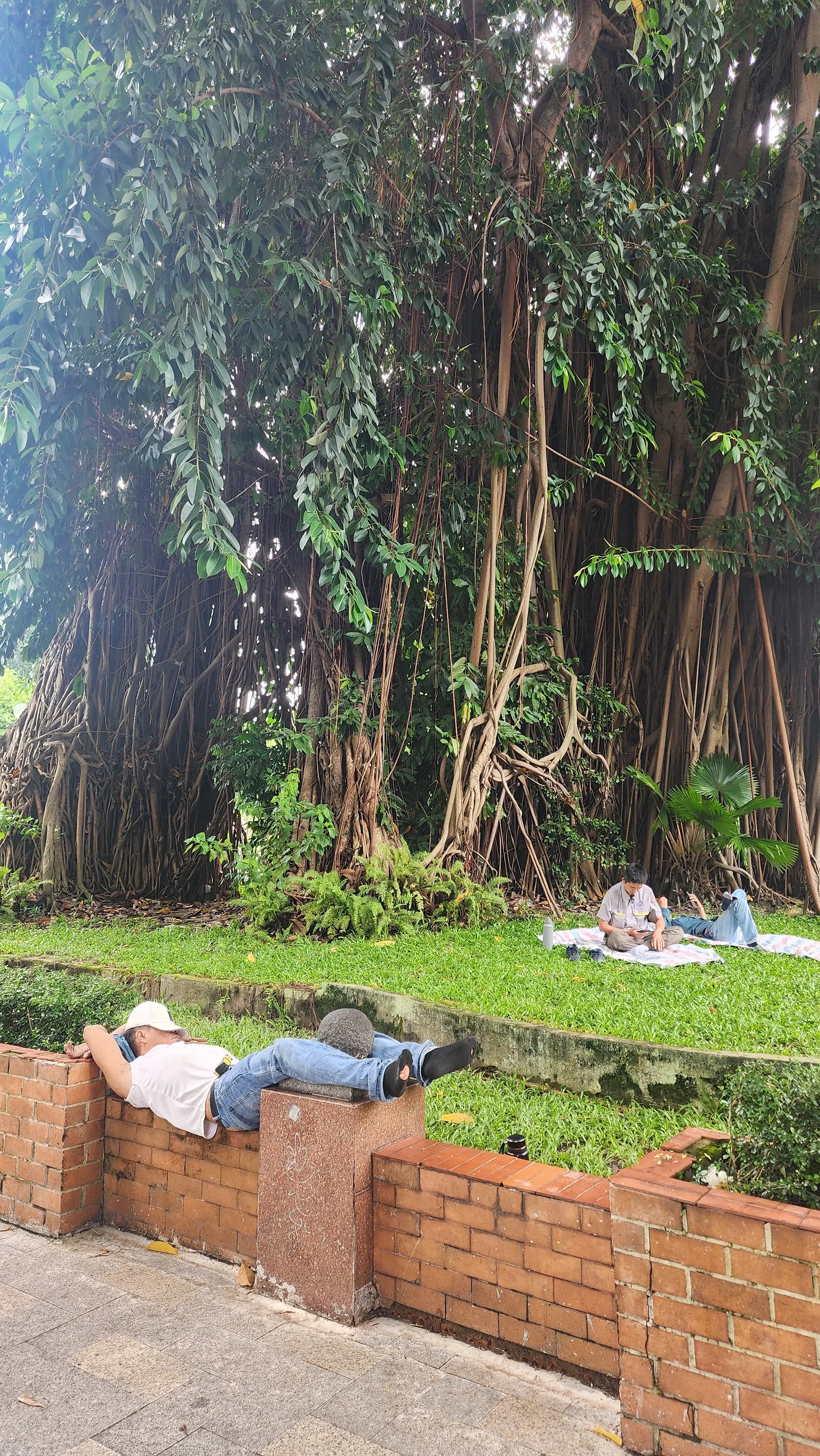 Atmosphere at Bach Tung Diep Park Ho Chi Minh City — travel photo