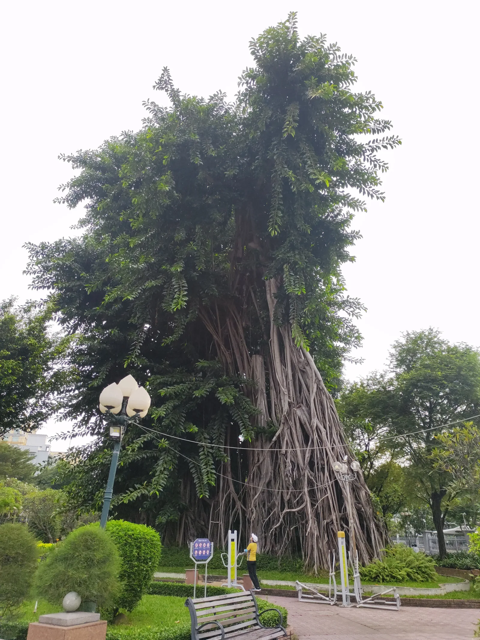Bach Tung Diep Park