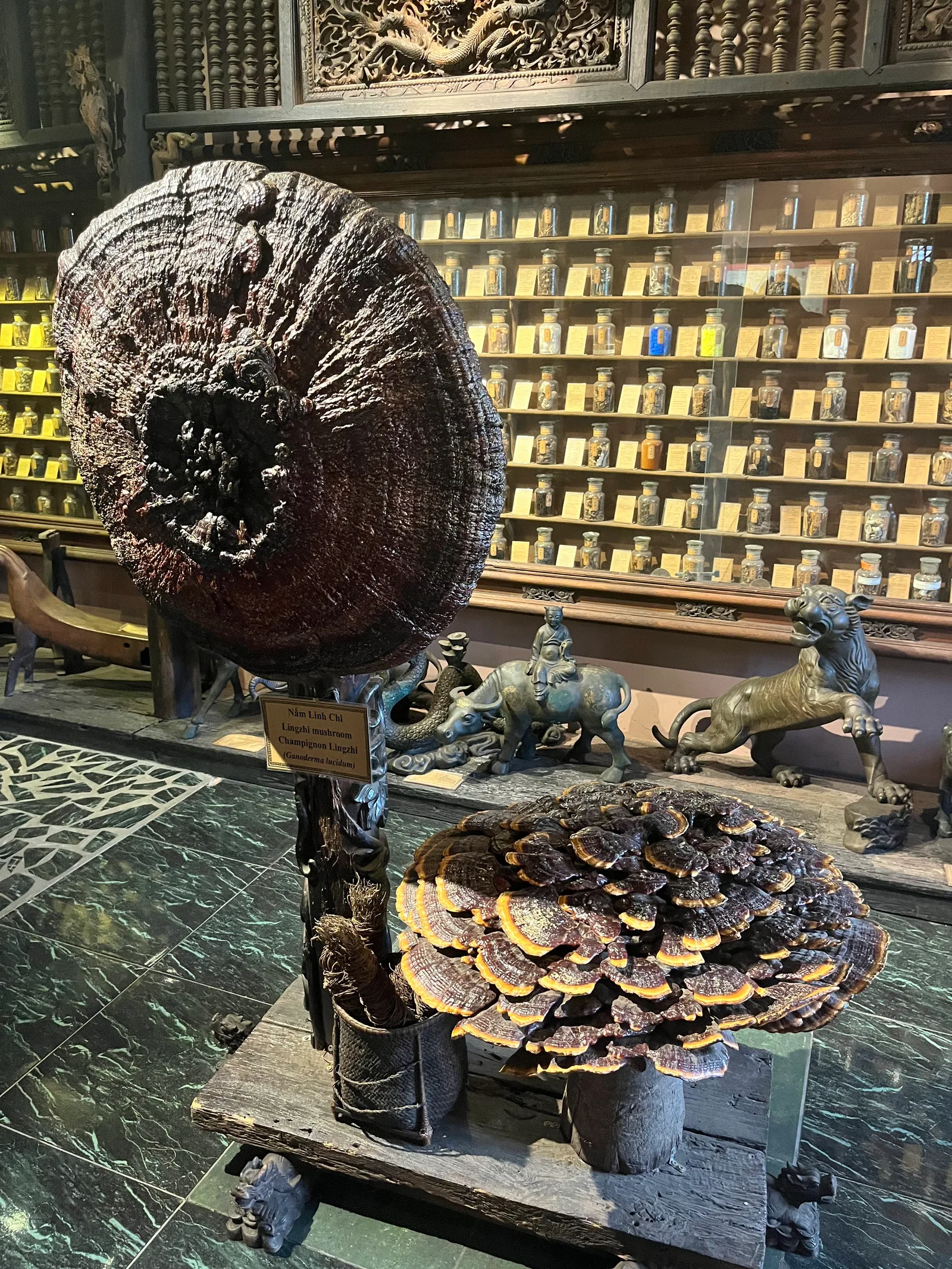 Bảo tàng Y học Cổ truyền - Traditional Medicine Museum