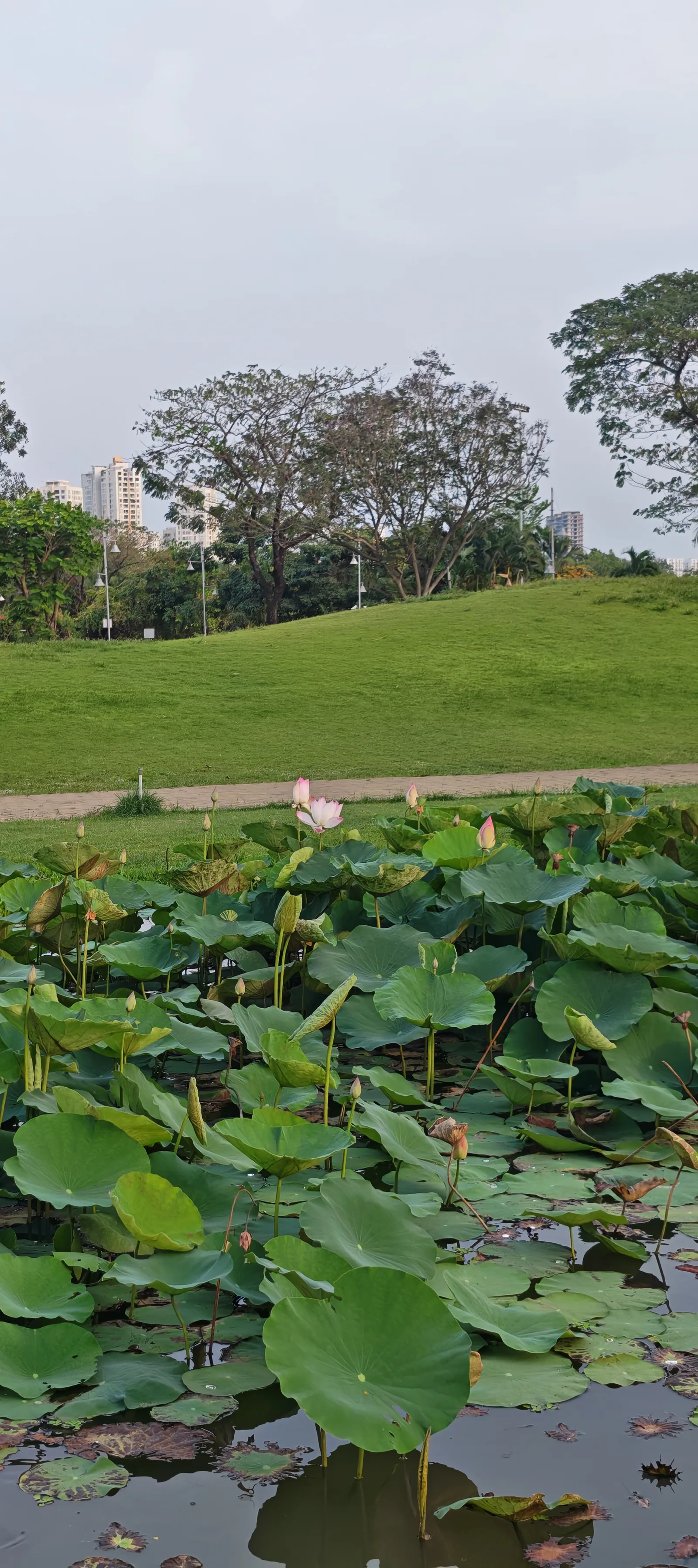 Interior at Crescent Lake Park Ho Chi Minh City — travel photo