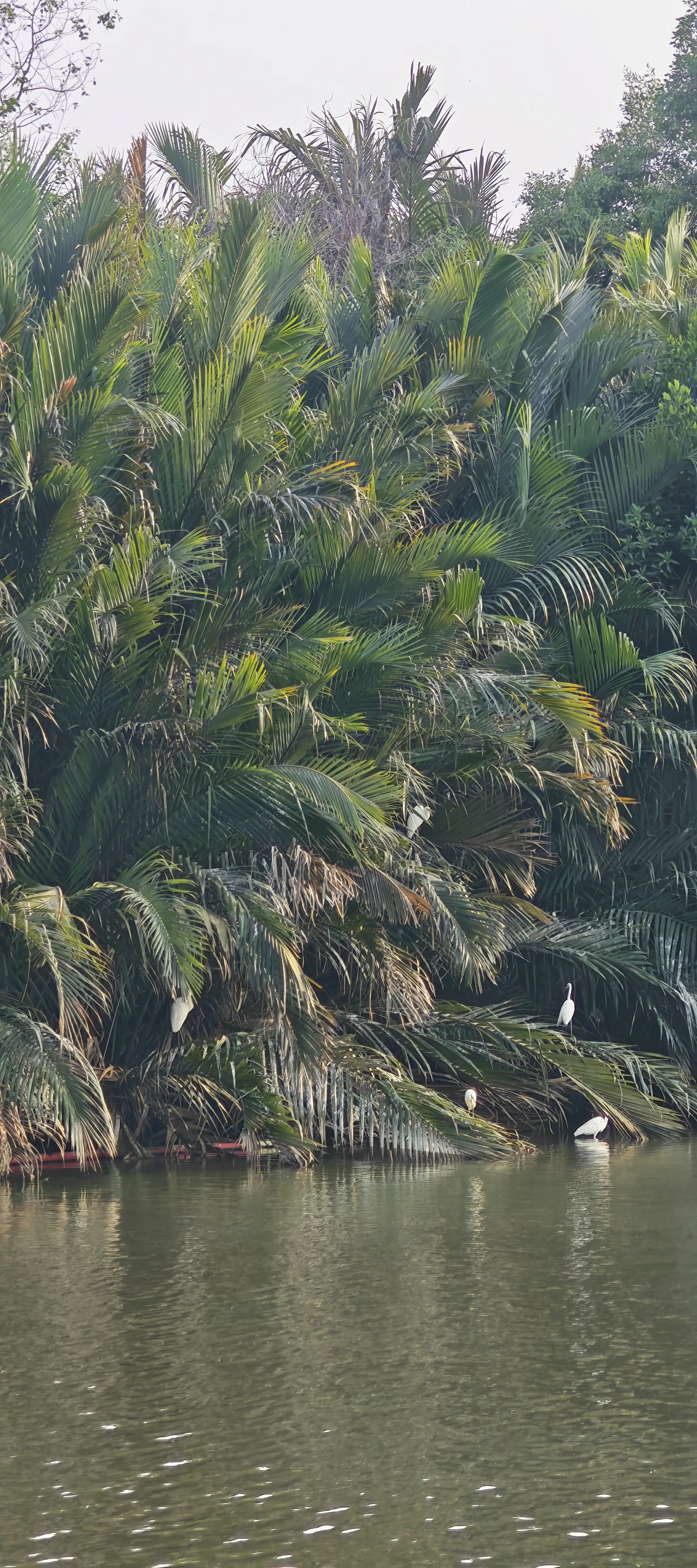 Details at Crescent Lake Park Ho Chi Minh City — travel photo