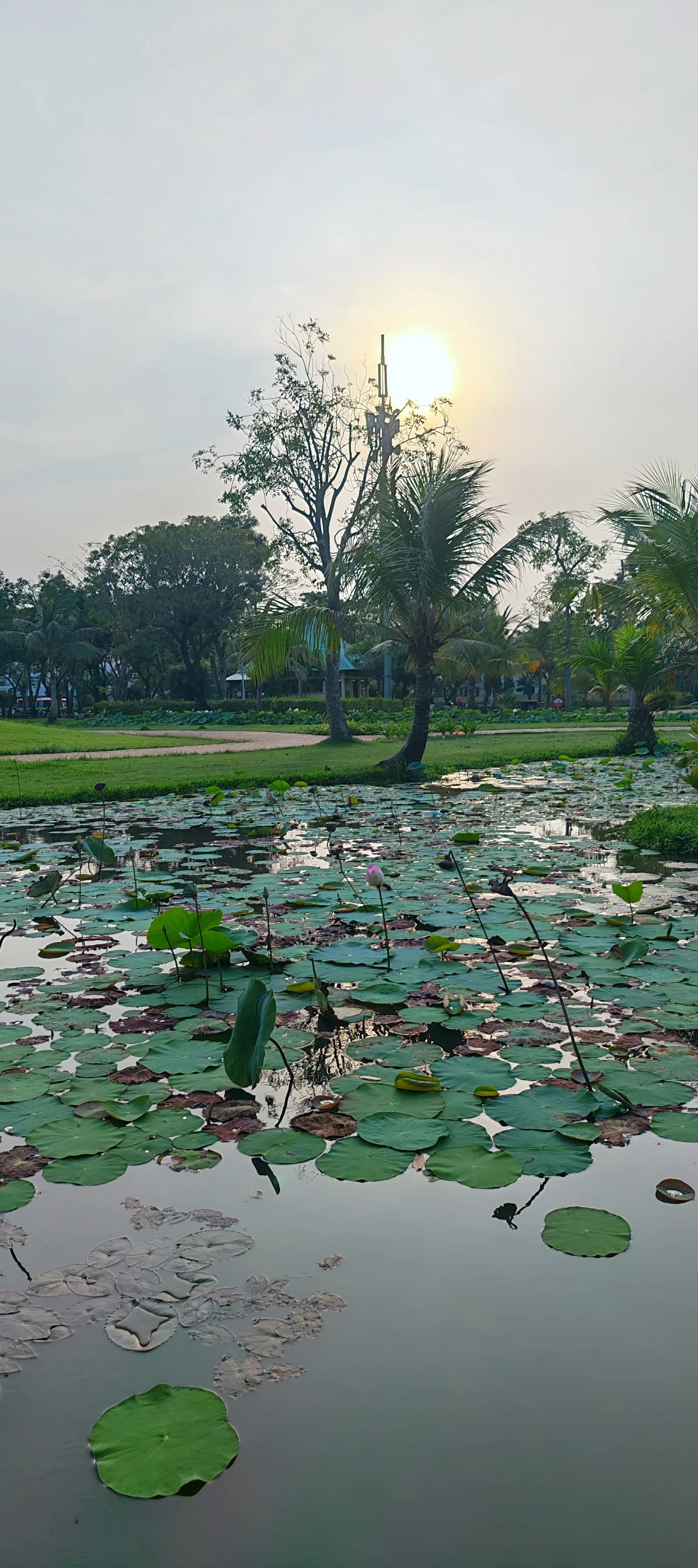 Atmosphere at Crescent Lake Park Ho Chi Minh City — travel photo