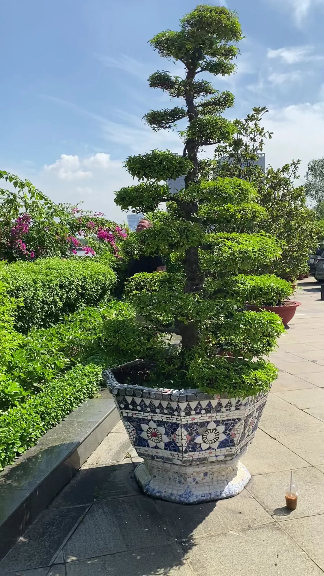Main view at Dragon House Harbor - Ho Chi Minh Museum Ho Chi Minh City — travel photo