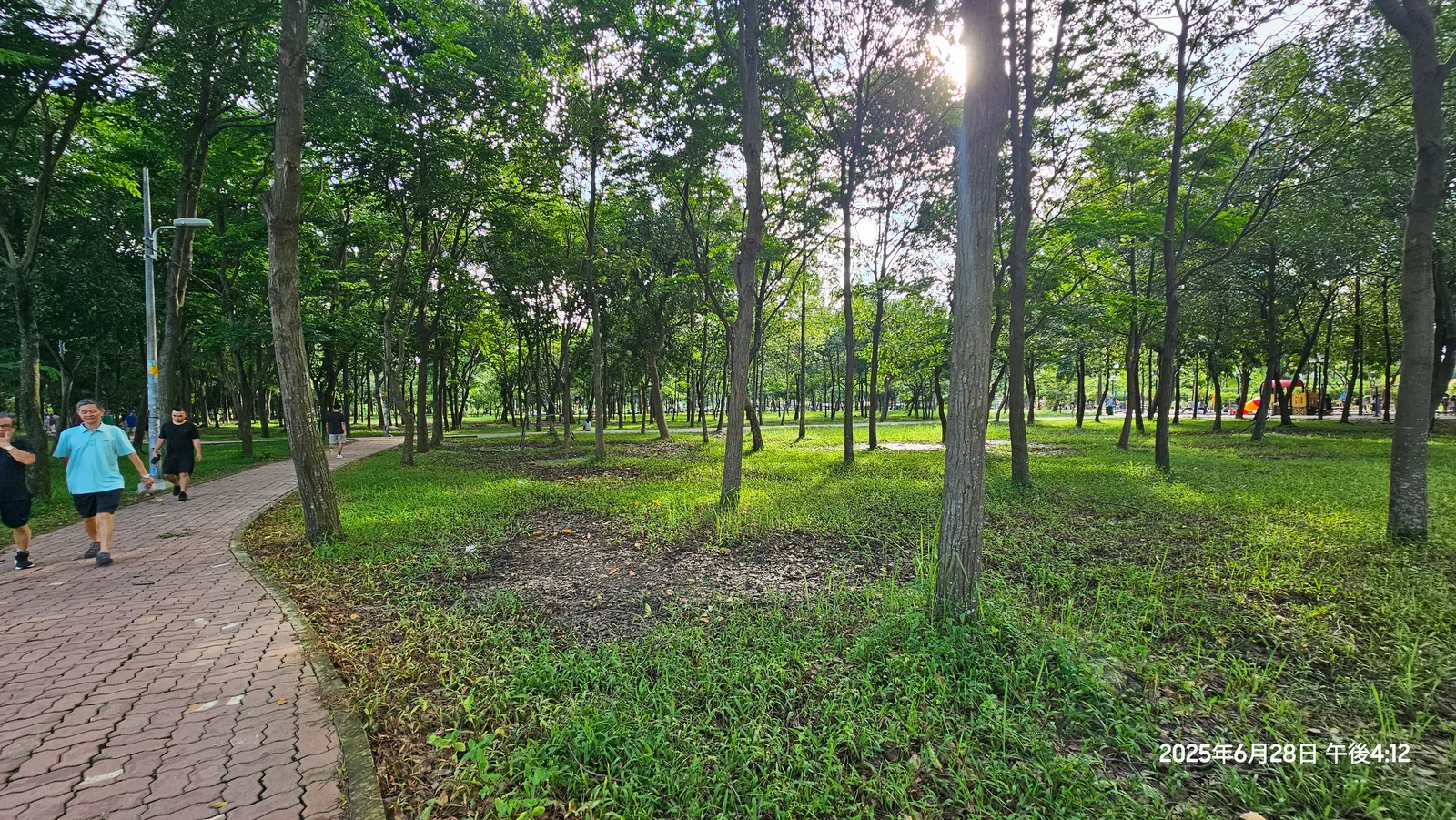 Details at Gò Vấp Cultural Park Ho Chi Minh City — travel photo