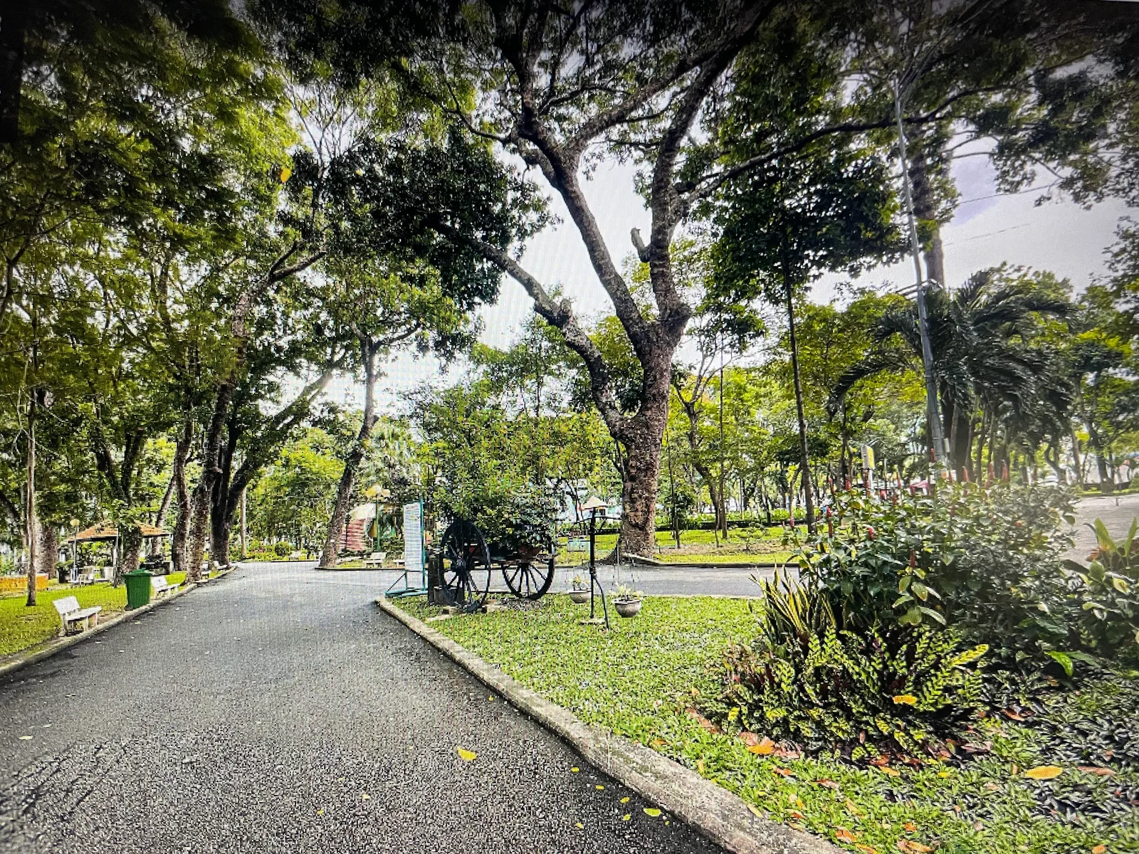 Main view at Hoang Van Thu Park Ho Chi Minh City — travel photo