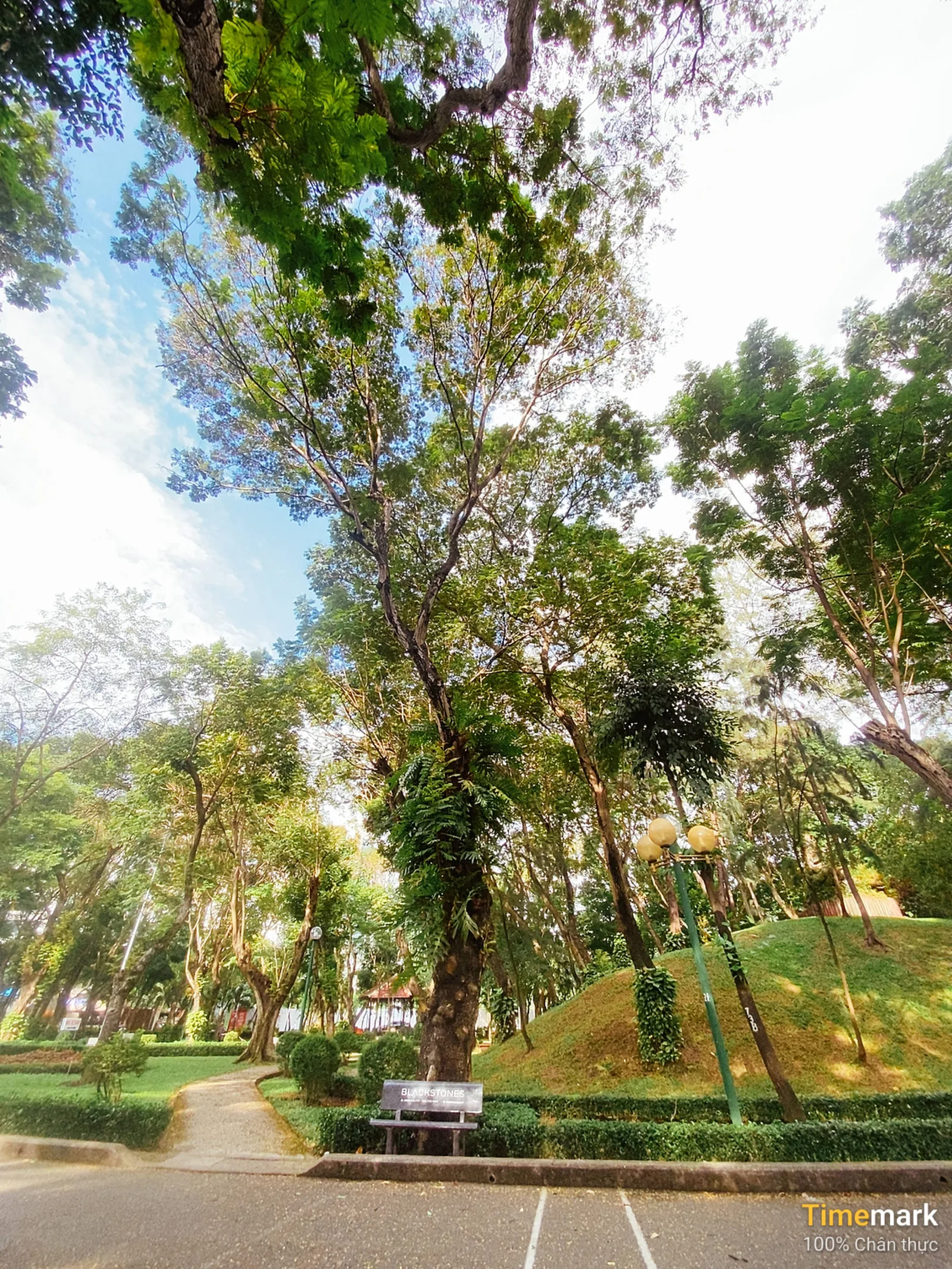 Hoang Van Thu Park
