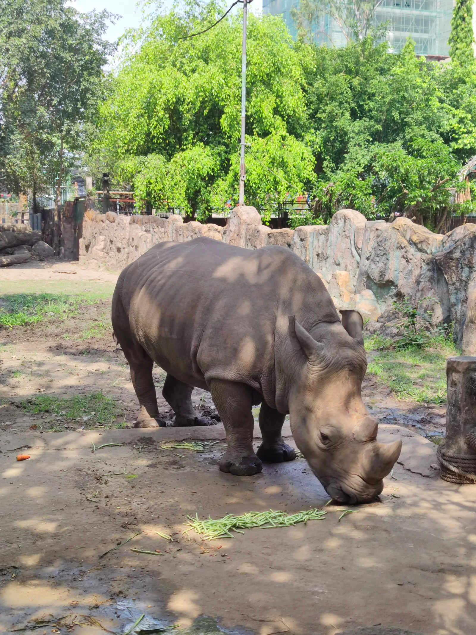 Main view at Saigon Zoo & Botanical Gardens Ho Chi Minh City — travel photo