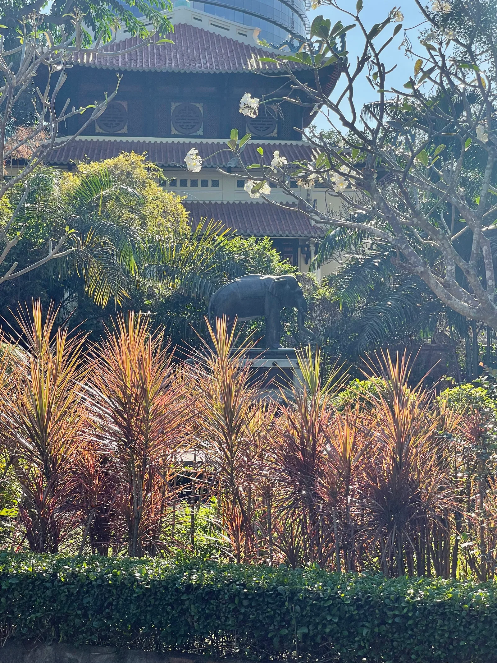 Interior at Saigon Zoo - Khu Gấu Chó Ho Chi Minh City — travel photo