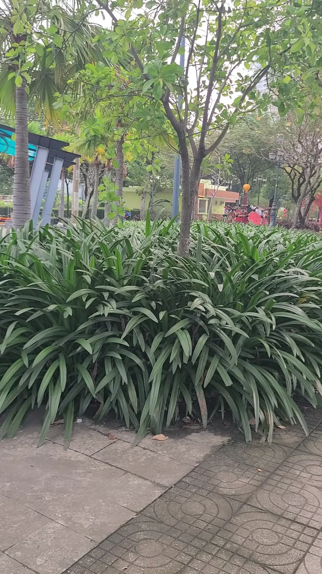 Interior at Thao Dien Park Ho Chi Minh City — travel photo