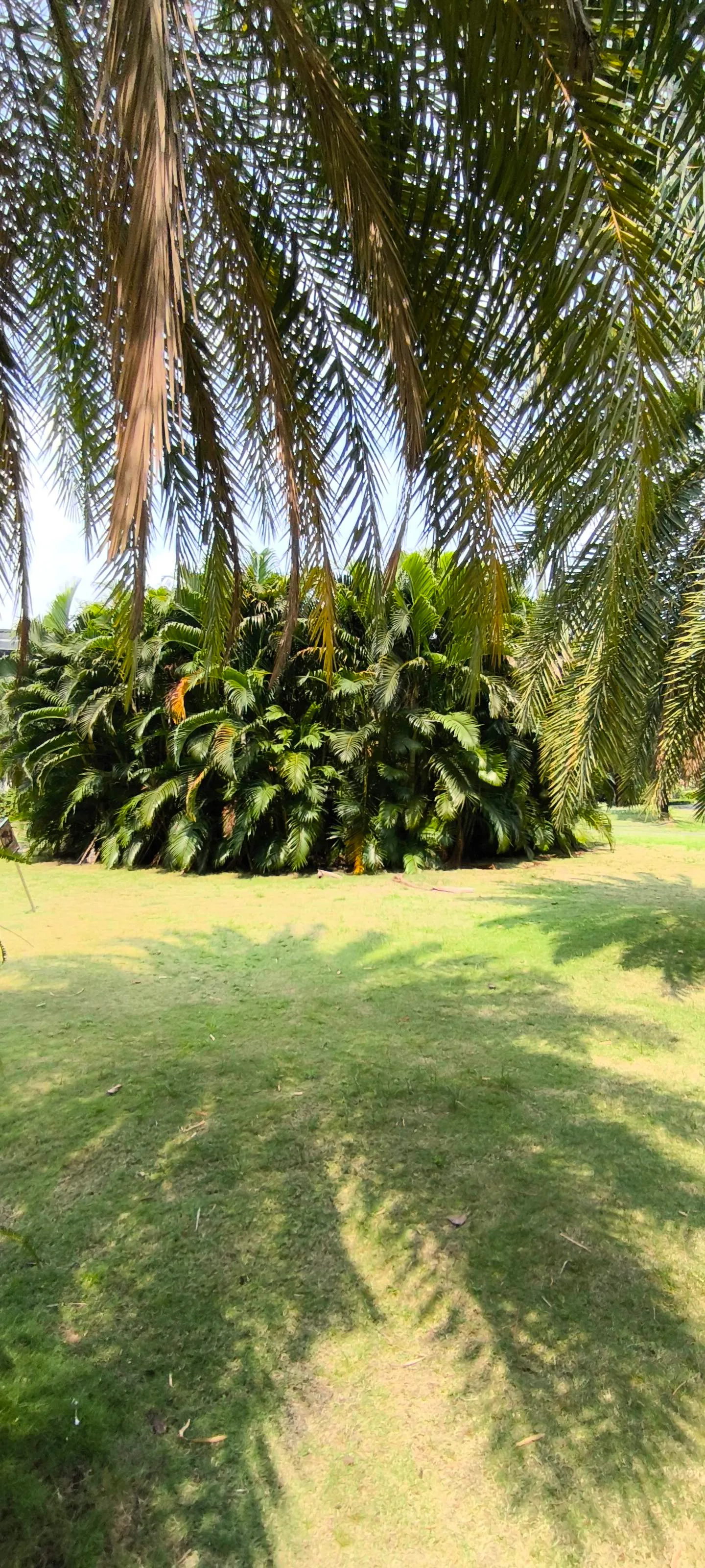 Atmosphere at Vinhomes New Port Park Ho Chi Minh City — travel photo