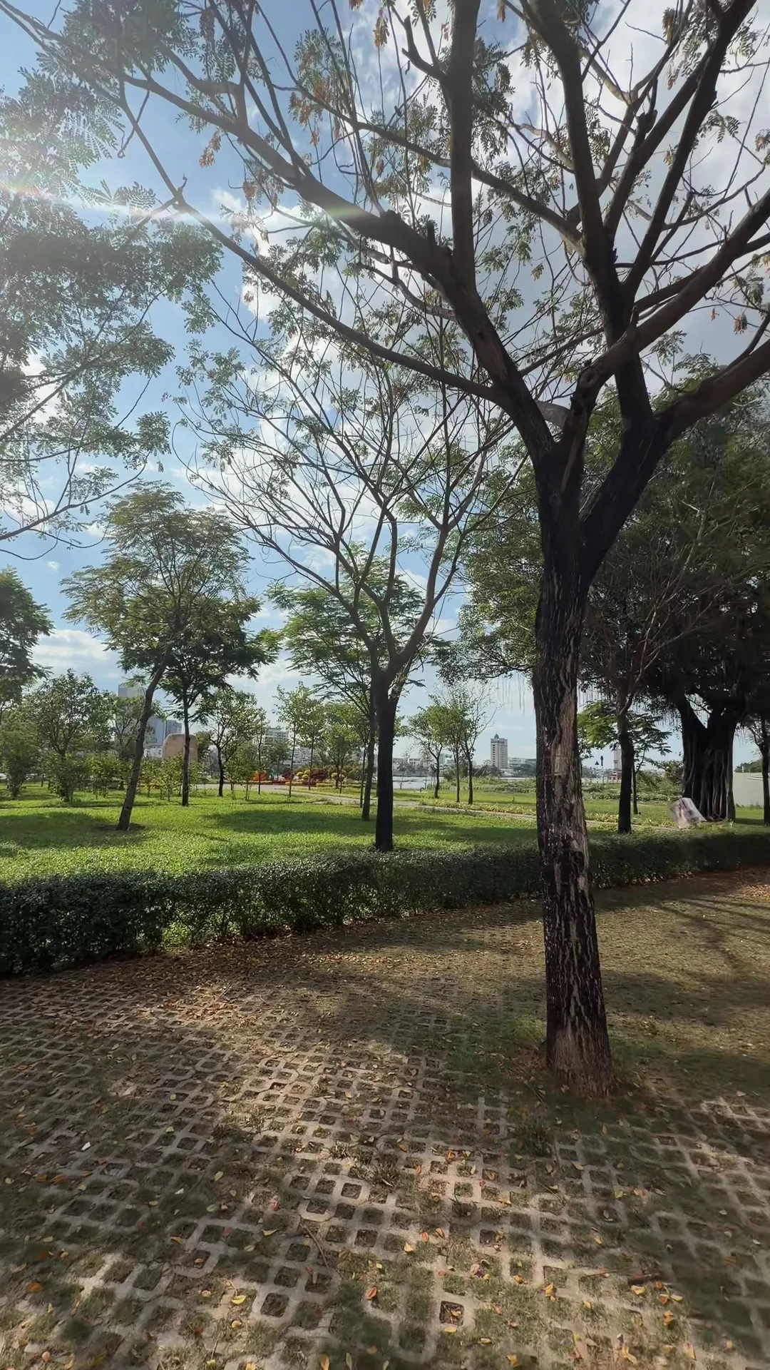 Main view at Vo Nguyen Giap Street Park Ho Chi Minh City — travel photo