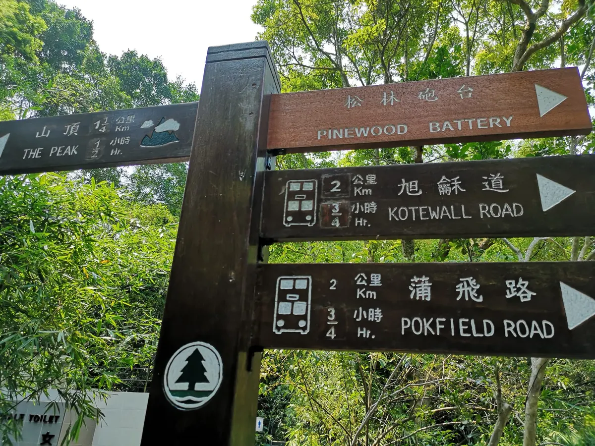 Main view at Lung Fu Shan Morning Trail Hong Kong — travel photo