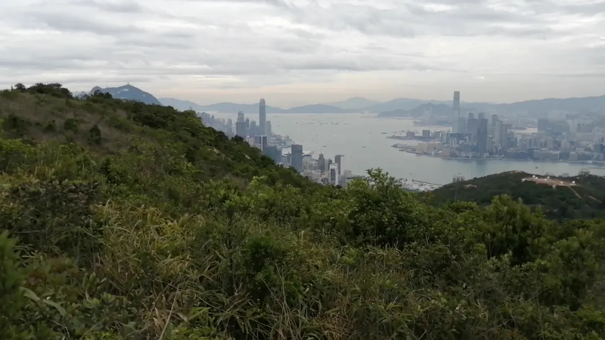 Details at Mount Parker Road Green Trail Hong Kong — travel photo