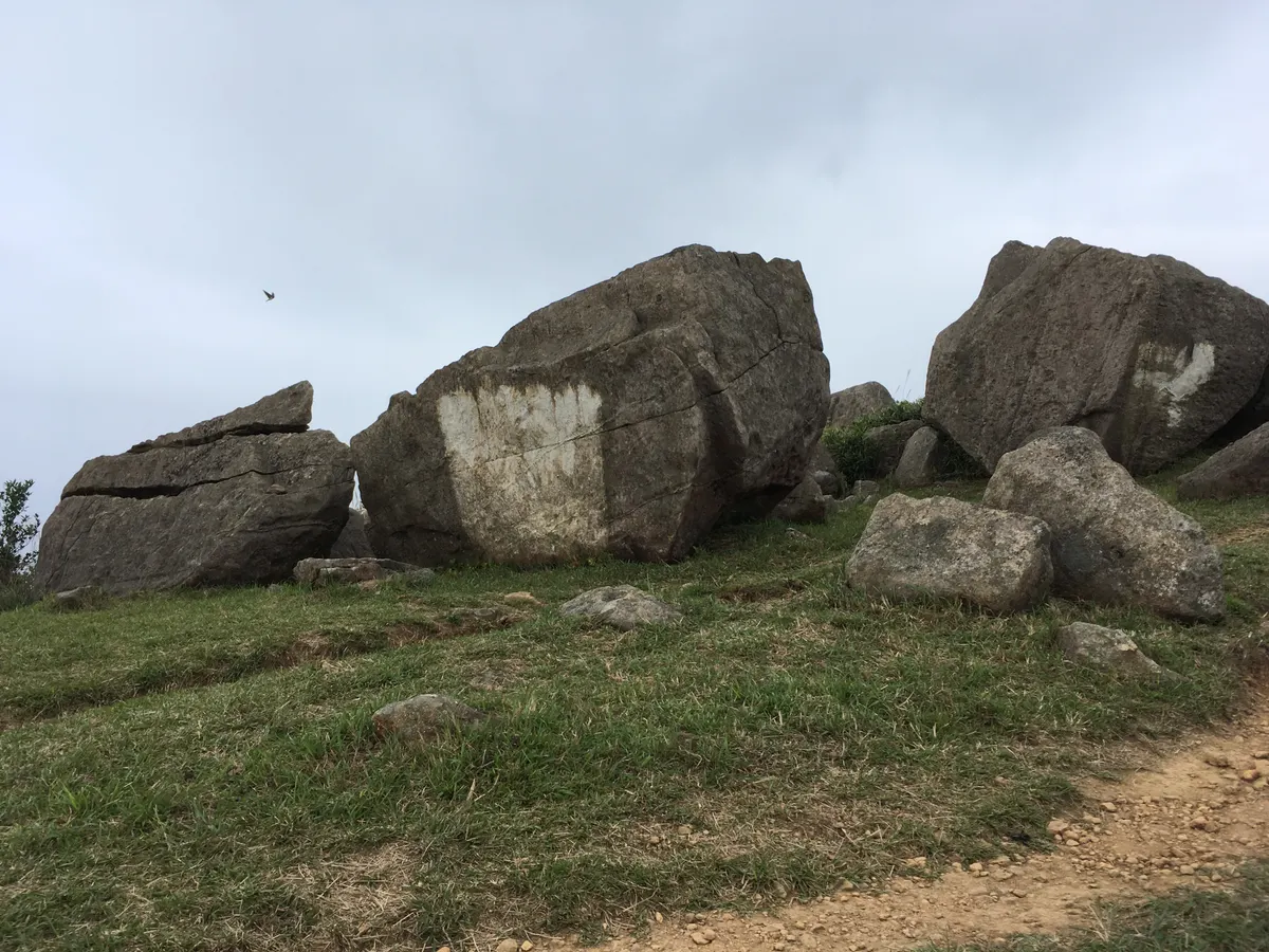 Details at Tai Mo Shan Country Park Hong Kong — travel photo