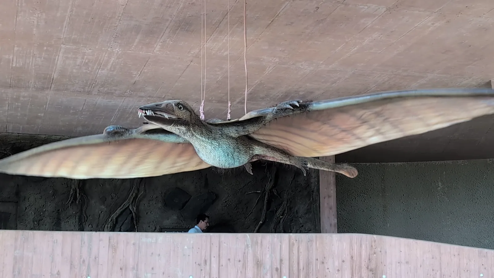 Main view at Alpenzoo Innsbruck - Tirol Innsbruck — travel photo