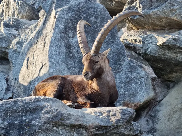 Alpenzoo Innsbruck - Tirol in Innsbruck