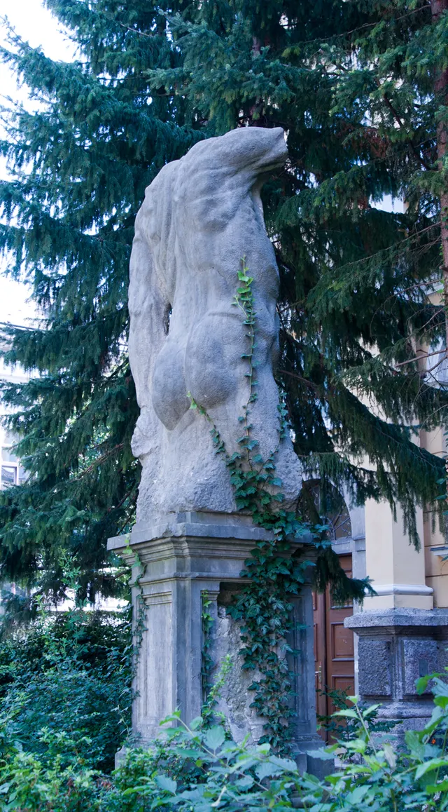 Anatomisches Museum / Medizinische Universität Innsbruck — Museum in Innsbruck