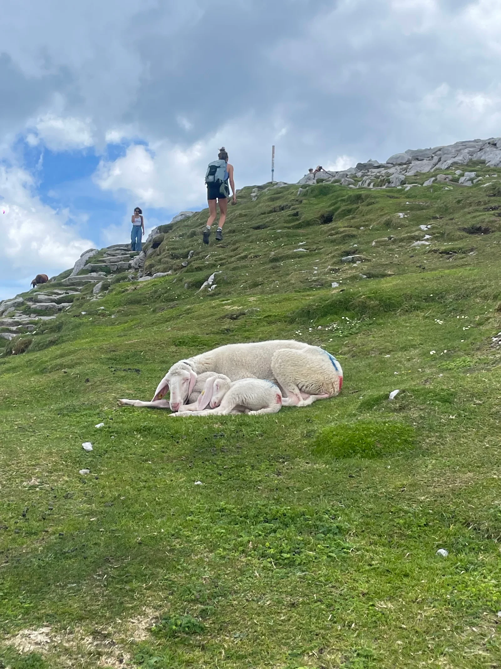 Atmosphere at Hafelekarspitze Innsbruck — travel photo