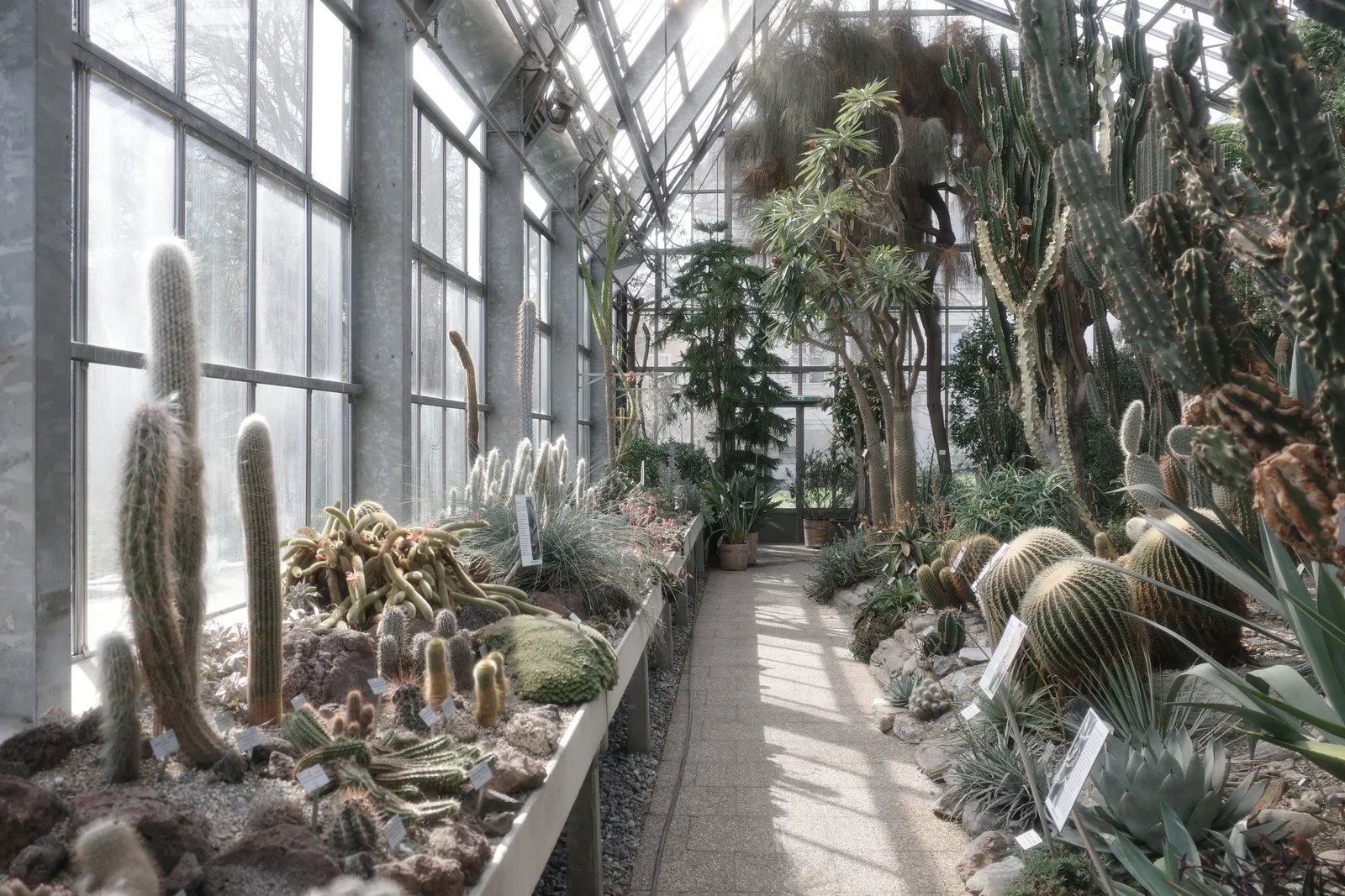 Interior at Innsbruck University Botanical Garden Innsbruck — travel photo