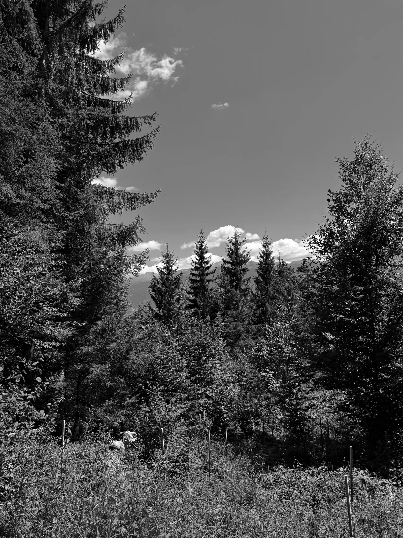 Details at Nordkette Innsbruck — travel photo