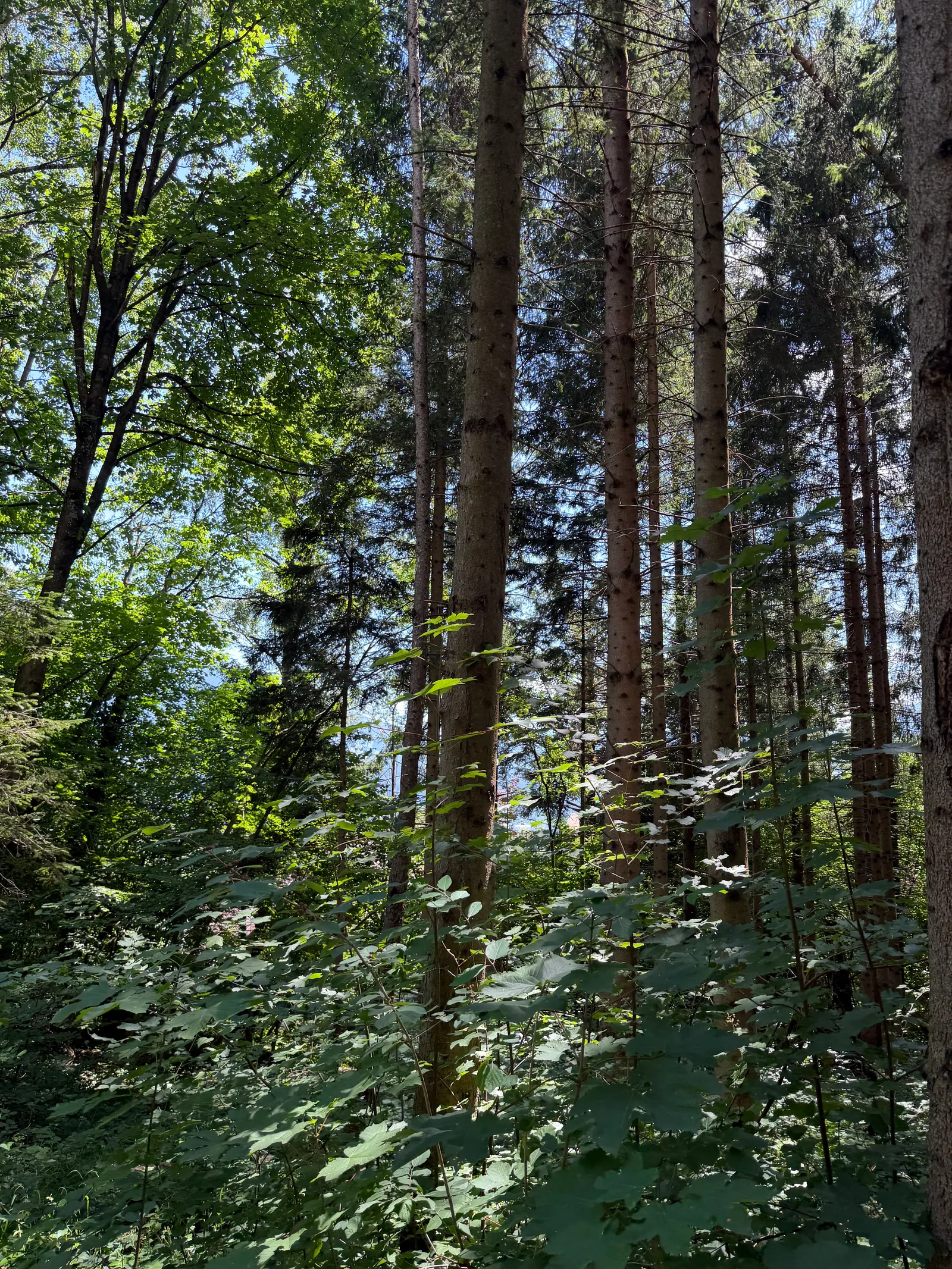 Atmosphere at Nordkette Innsbruck — travel photo