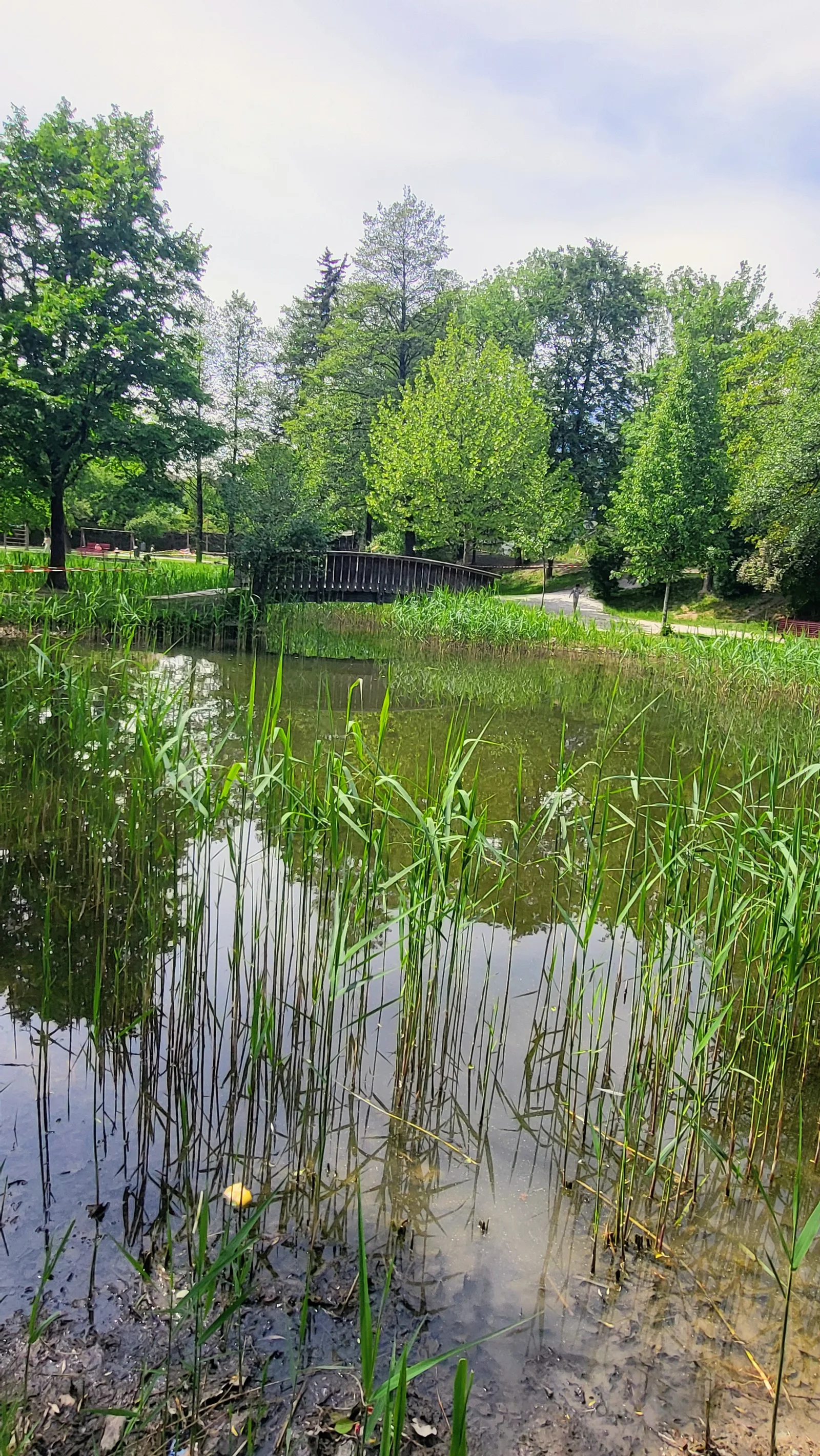 Main view at Römerpark Innsbruck — travel photo