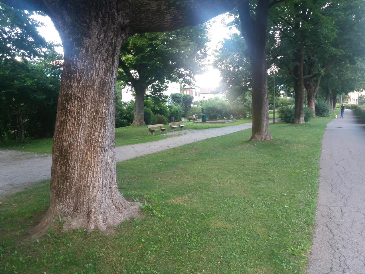 Ursulinenpark — budget guide Innsbruck