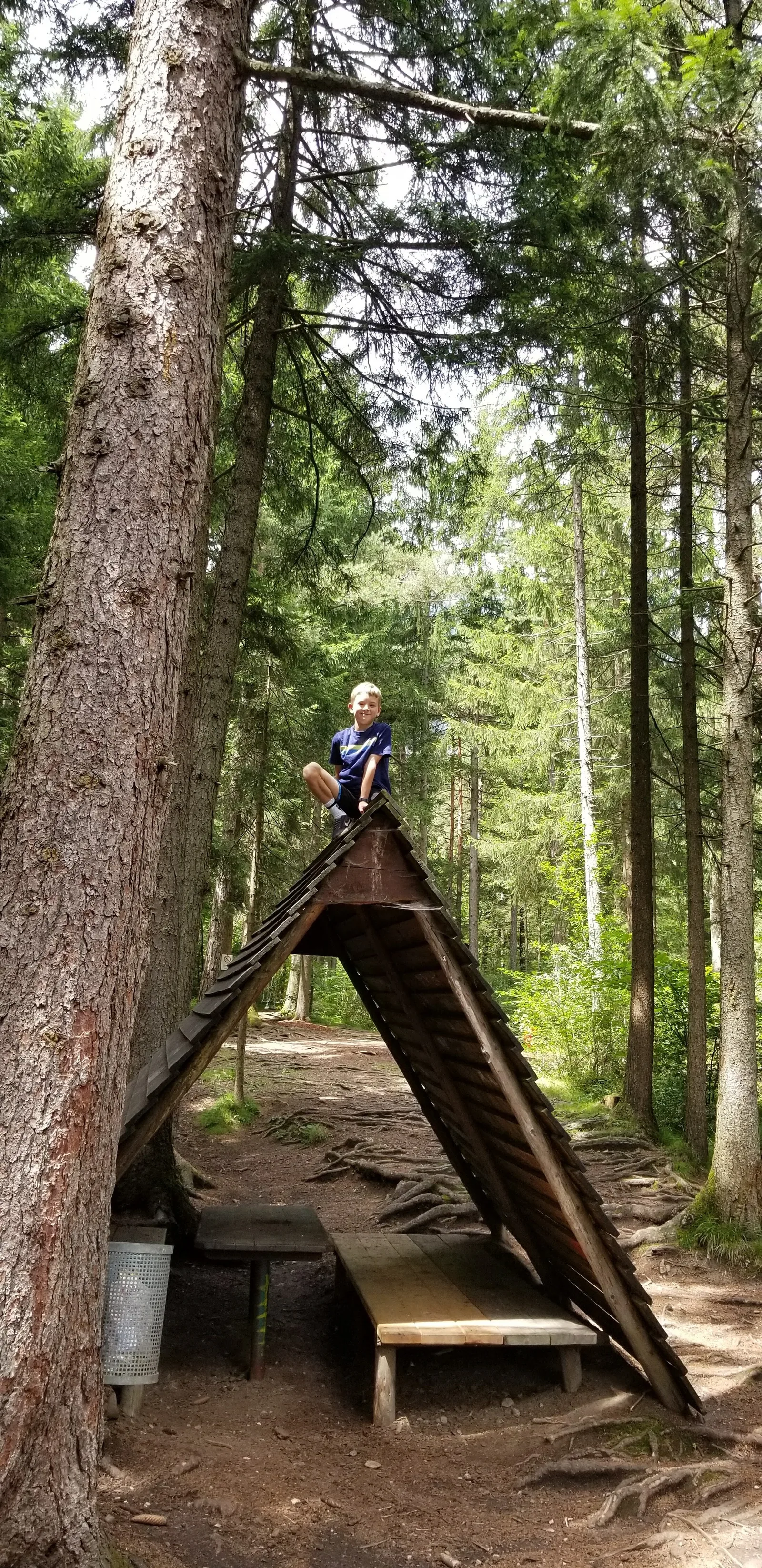 Main view at Waldspielplatz Innsbruck — travel photo