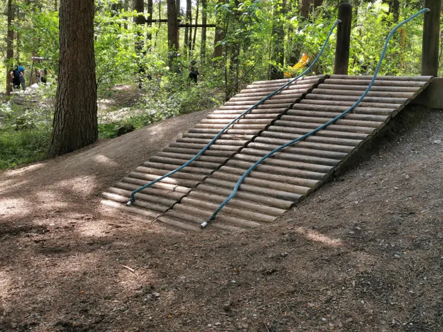 Waldspielplatz