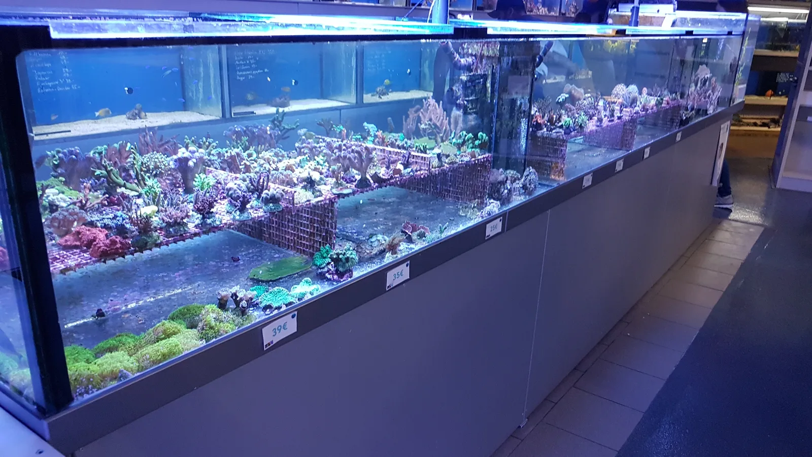Details at Aqua Tropica Köln — travel photo