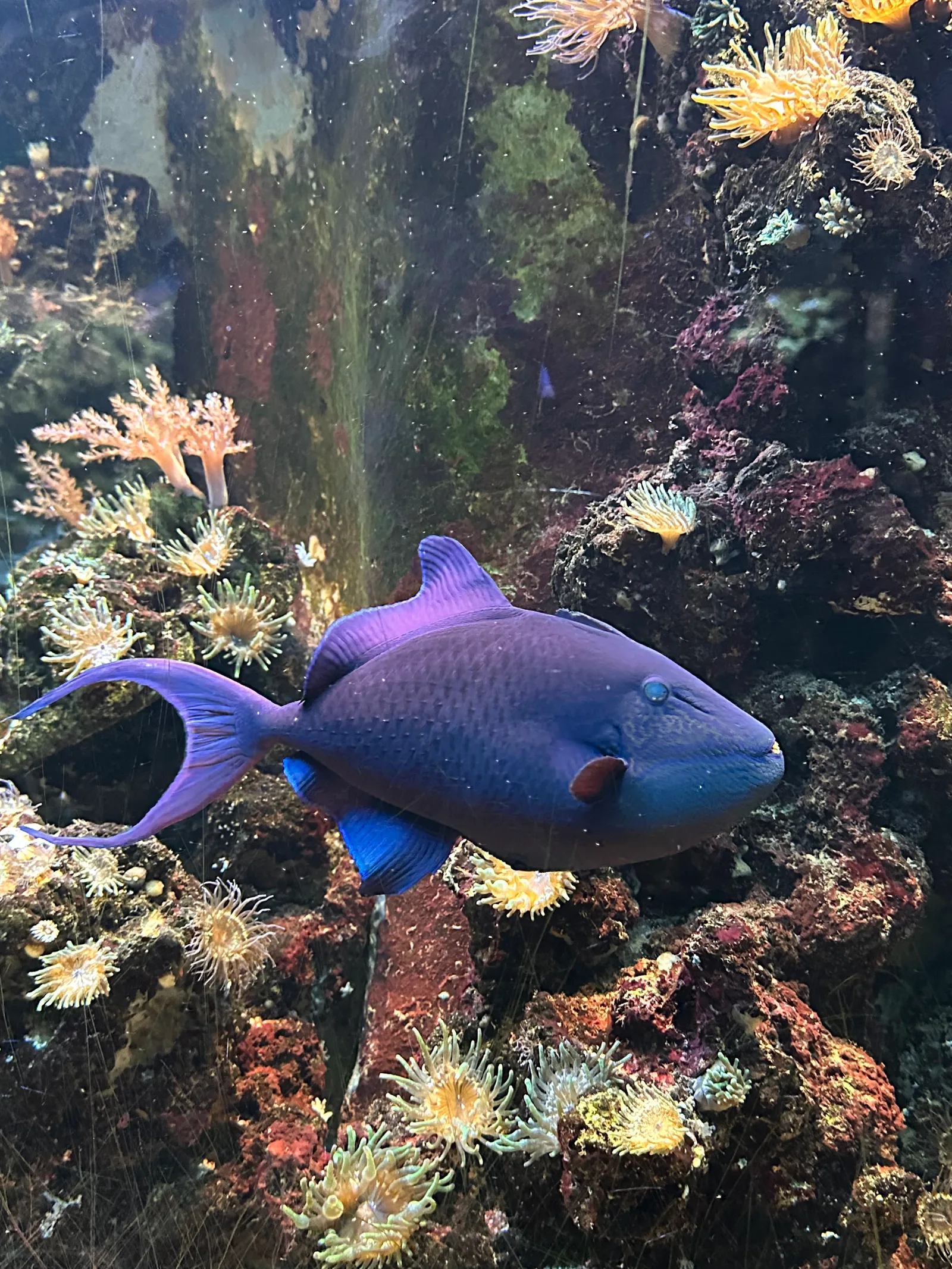 Details at Aquarium Köln — travel photo