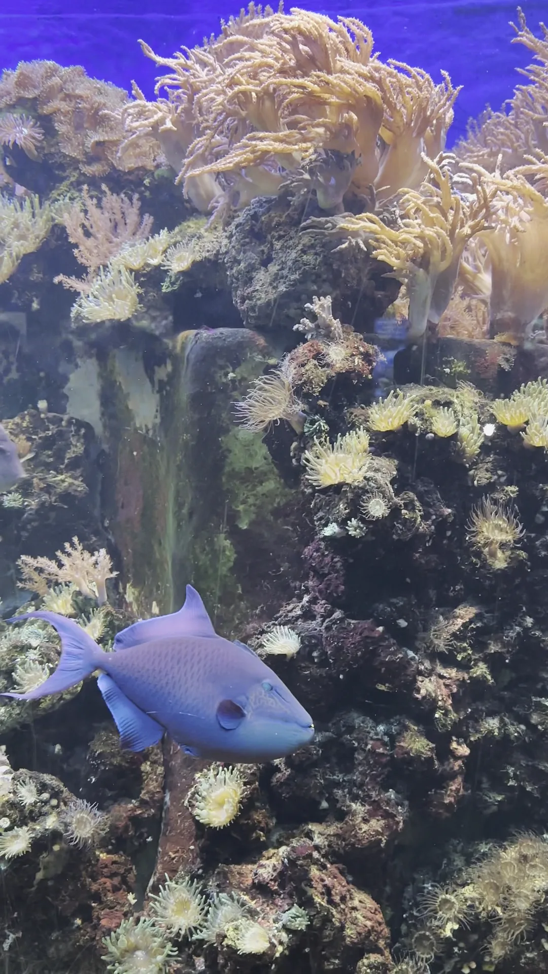 Atmosphere at Aquarium Köln — travel photo