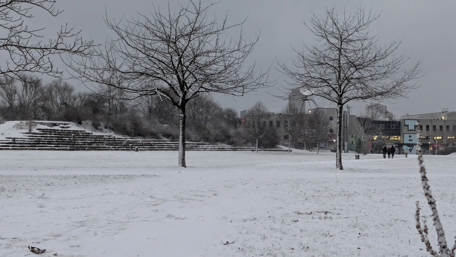 Main view at August-Sander-Park Köln — travel photo
