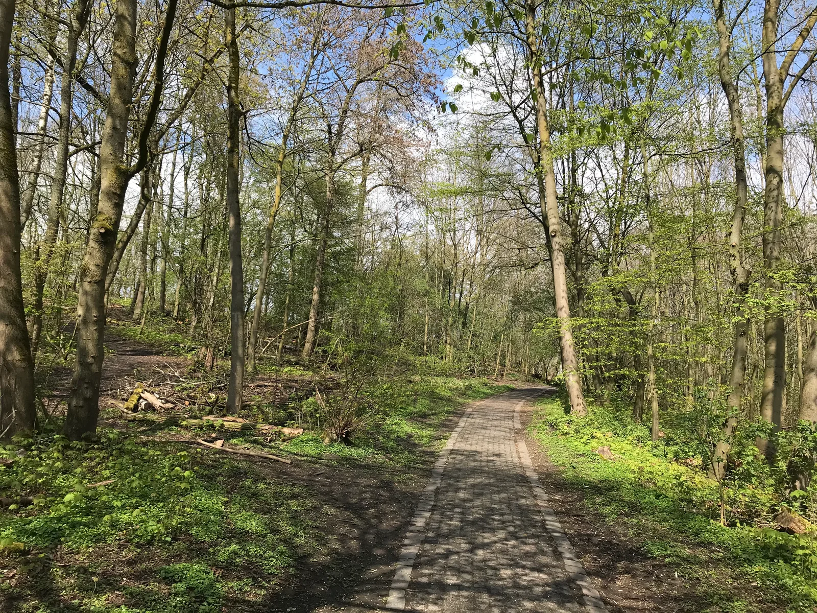 Interior at Beethoven Park Köln — travel photo