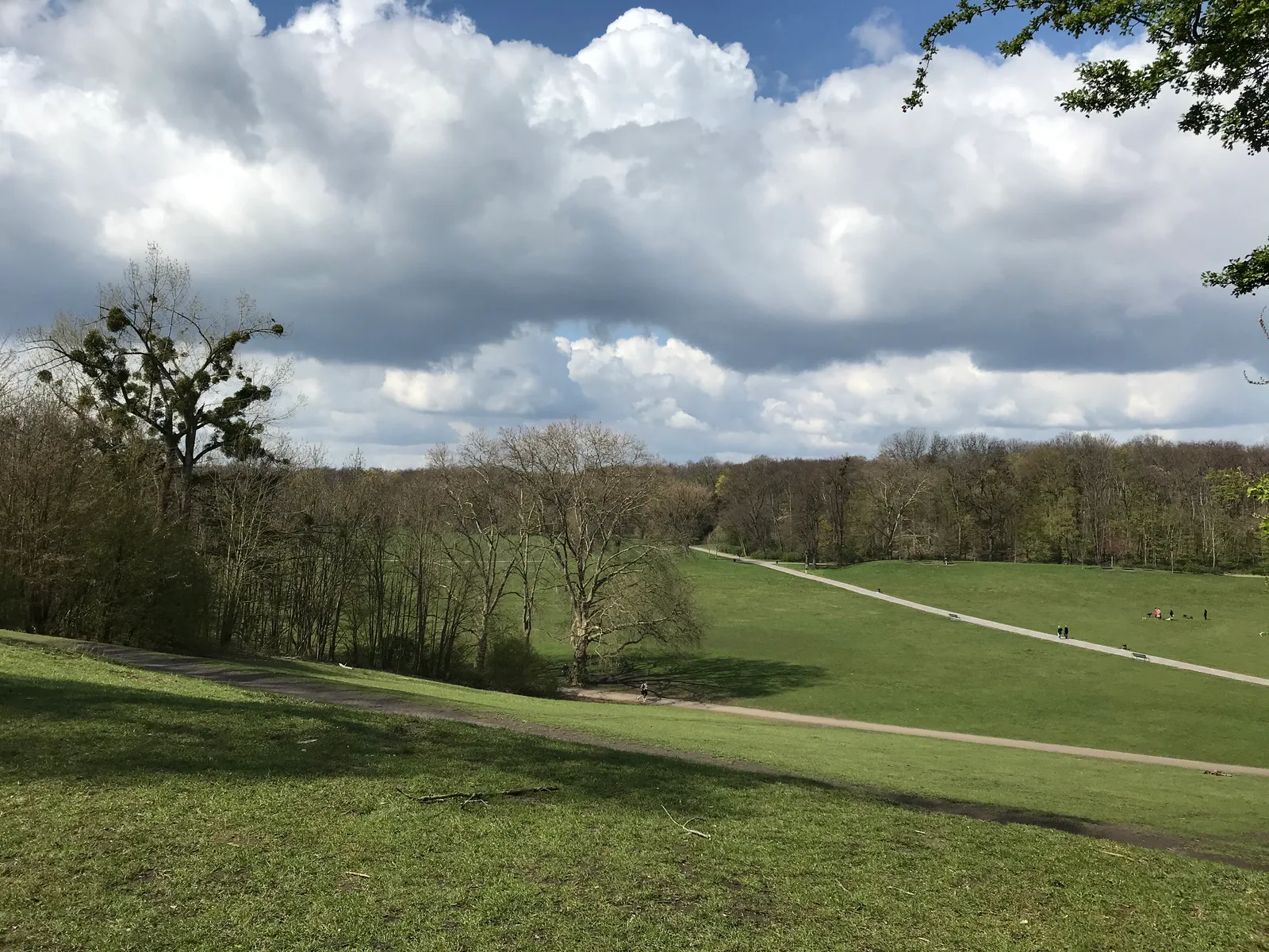 Atmosphere at Beethoven Park Köln — travel photo